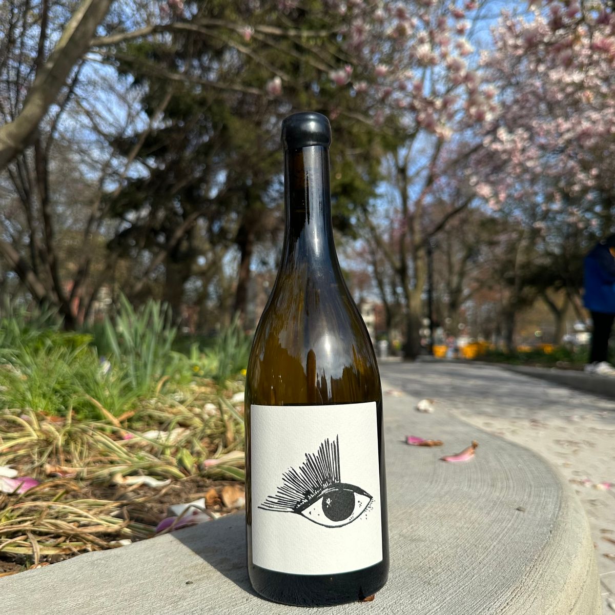 Vin Noé, “Aligoté Alibi” 2024