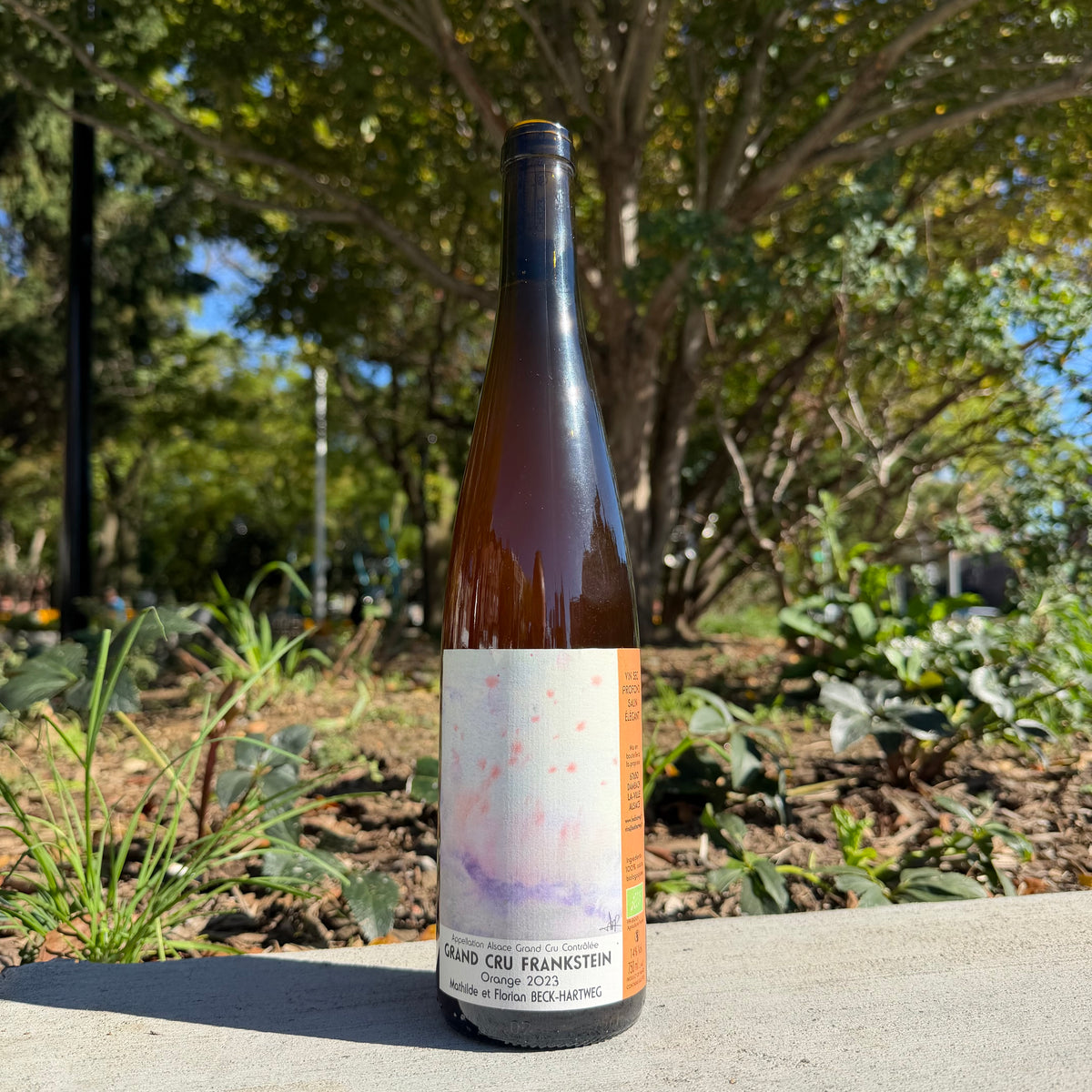 Beck-Hartweg, "Frankstein Grand Cru Orange" 2023