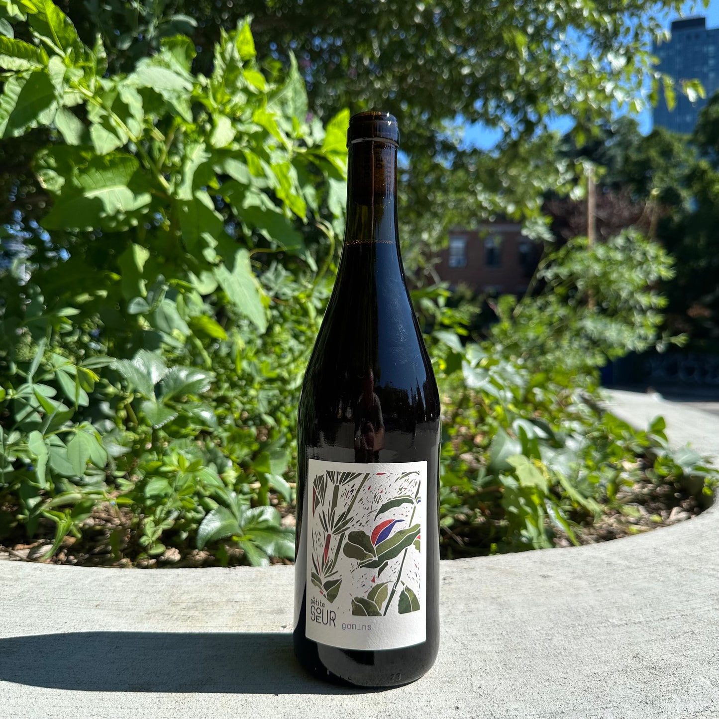 Domaine de La Petite Soeur, "Gamins" 2024