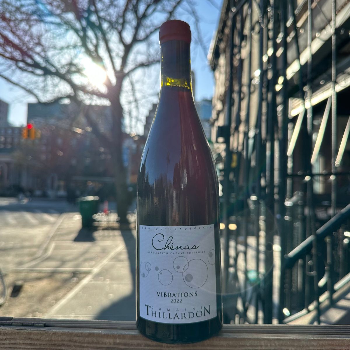 Domaine Thillardon, "Chénas, 'Les Vibrations'" 2022