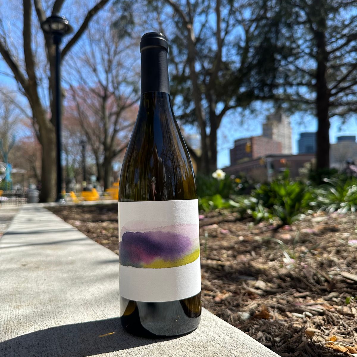 Thomas Batardière, "Grand Clos" 2024