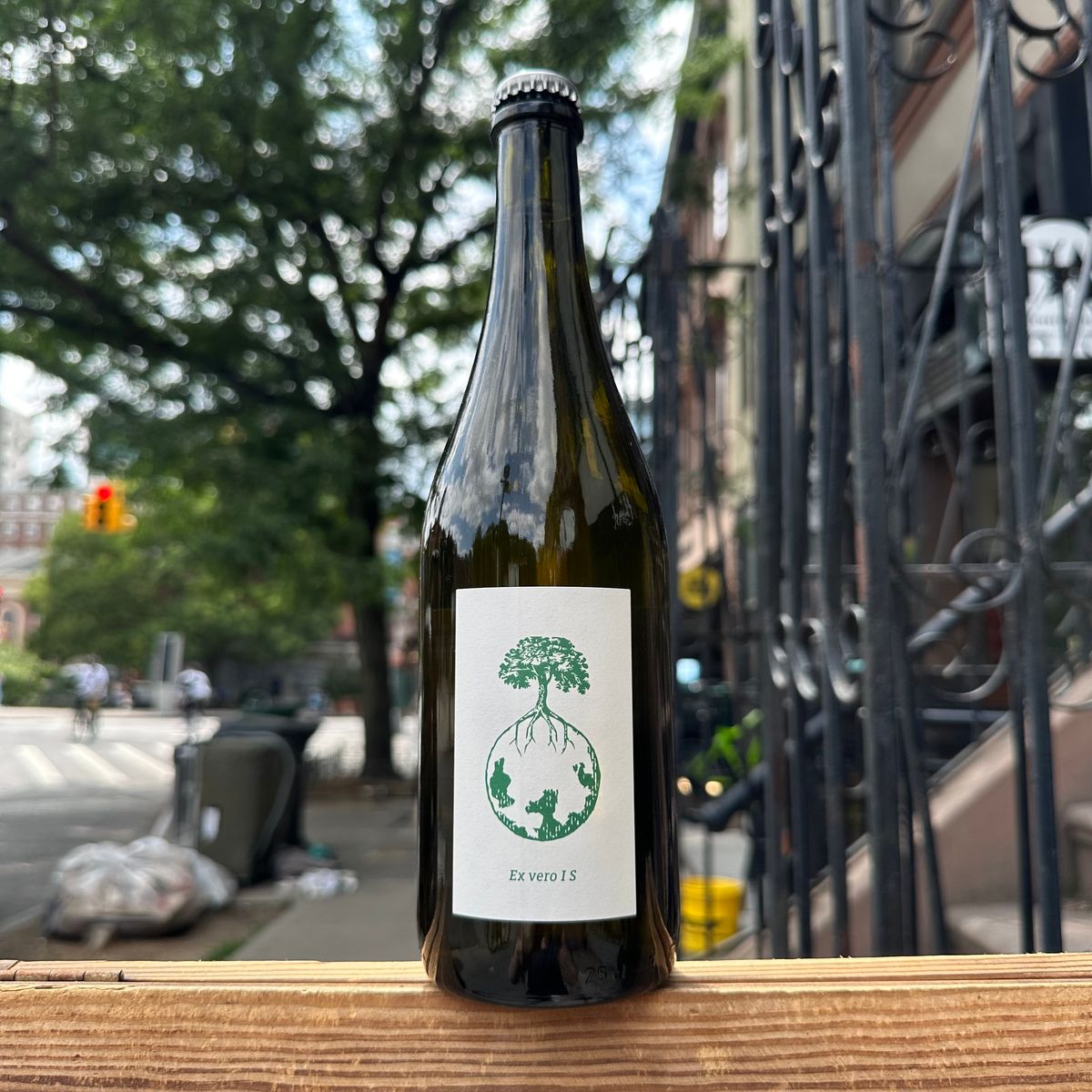 Werlitsch, "Ex Vero I S" 2021