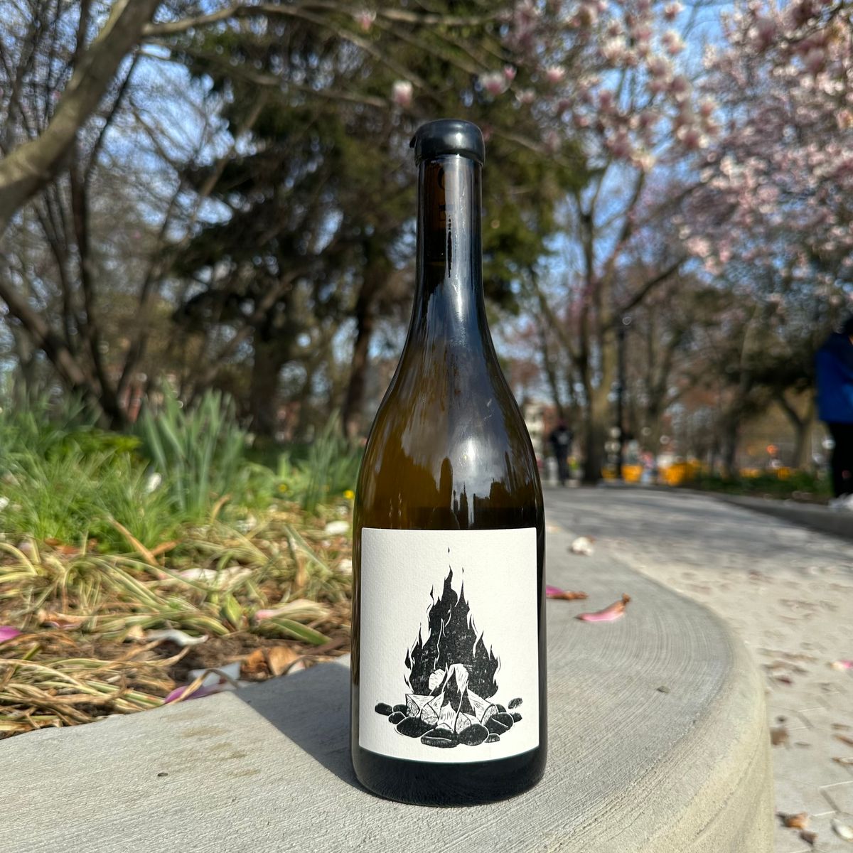 Vin Noé, “Saint-Aubin 1er Cru La Chatenière, ‘La Sauvage’” 2023