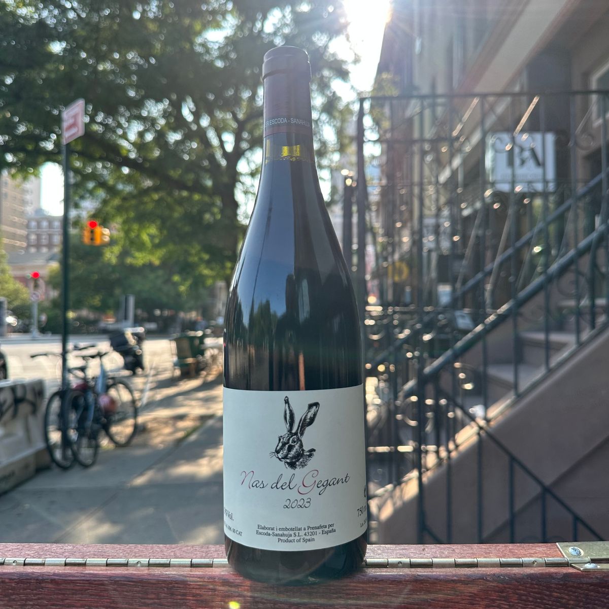 Escoda-Sanahuja, "Nas de Gegant" 2023