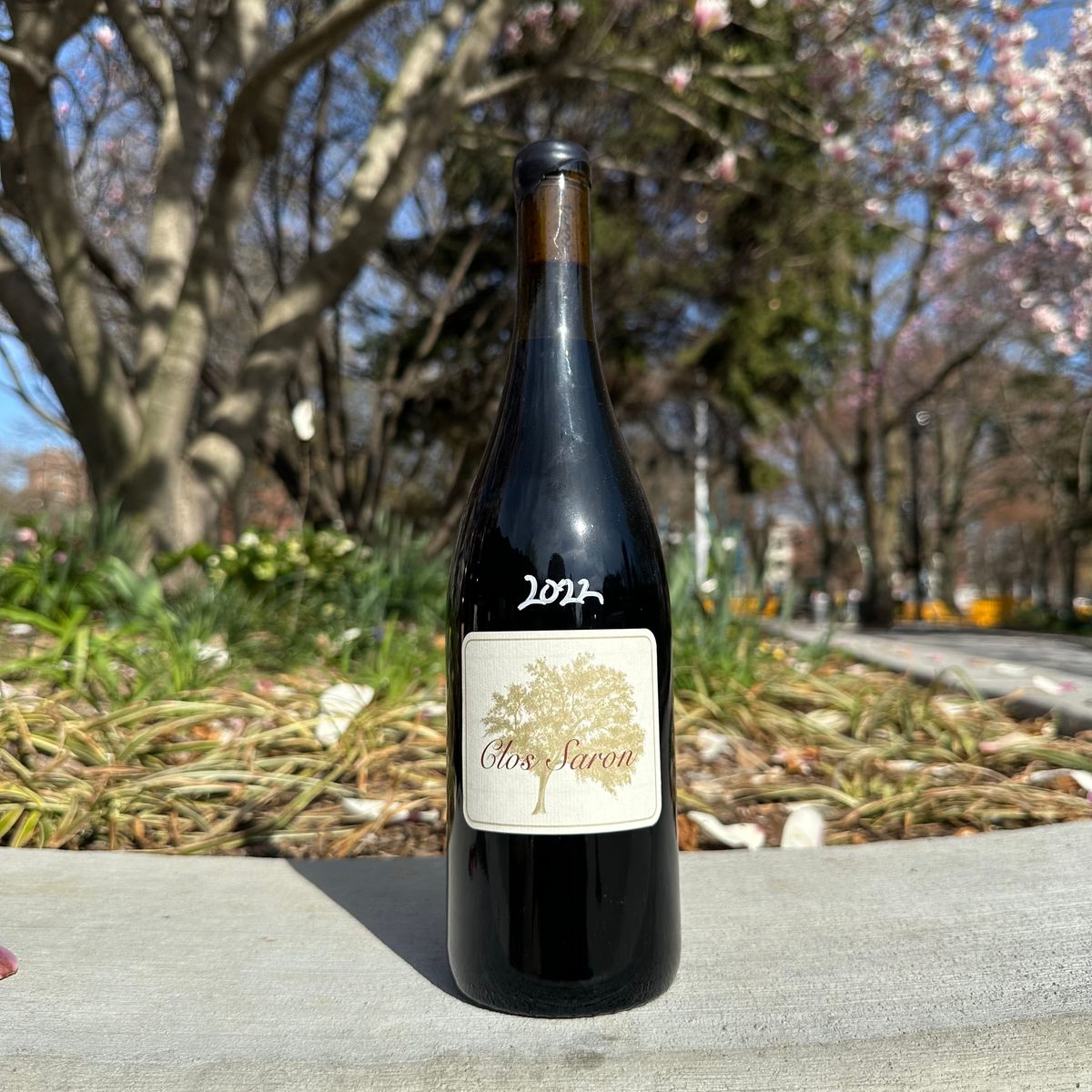 Clos Saron, “Black Swan” 2022