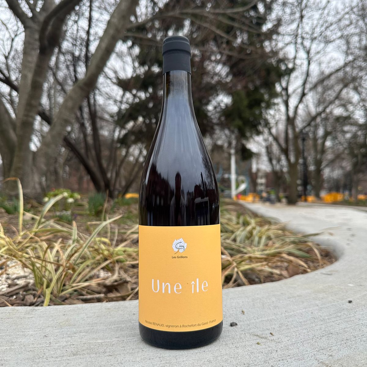 Clos des Grillons, "Une Île" 2024