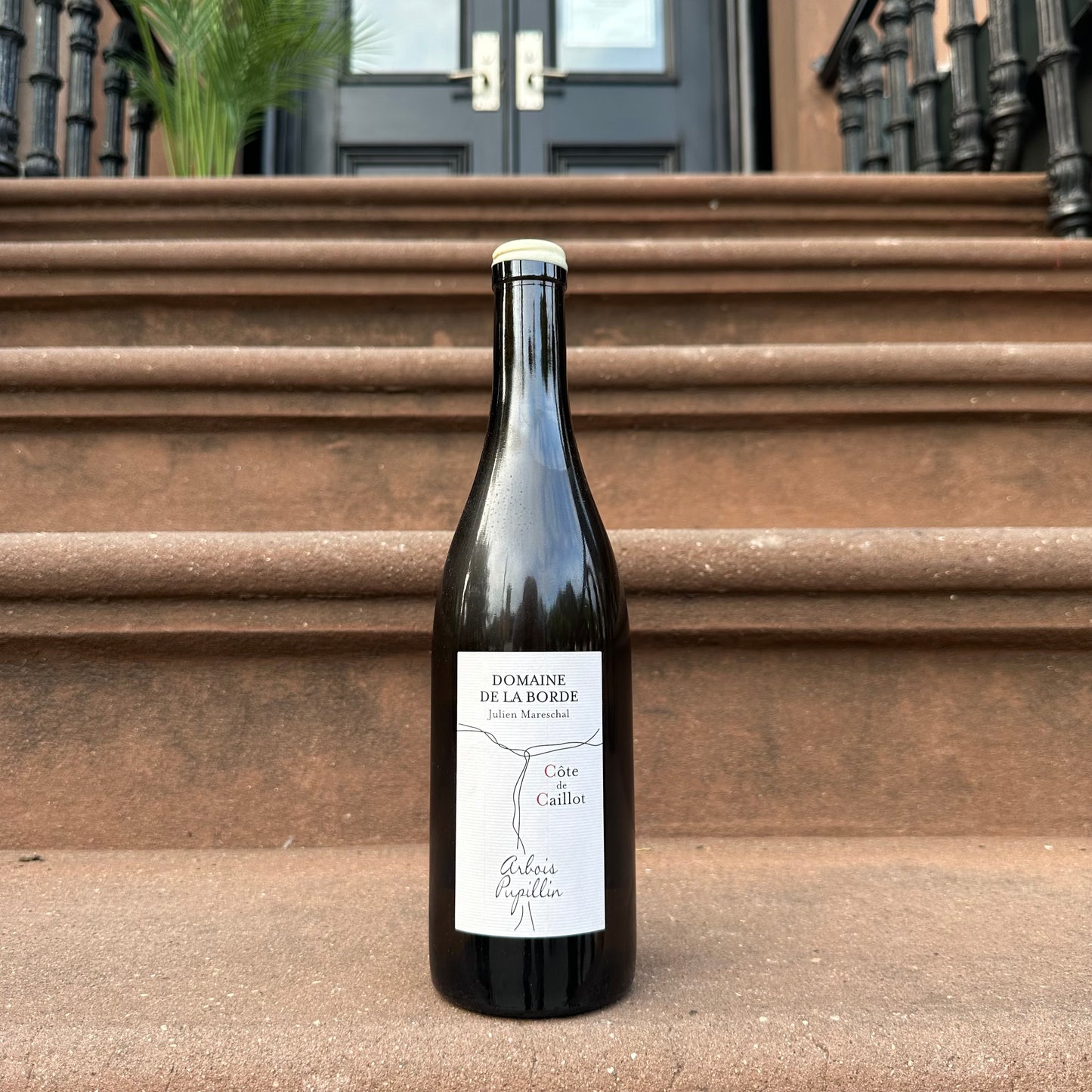 Domaine de La Borde, "Côte de Caillot" 2023