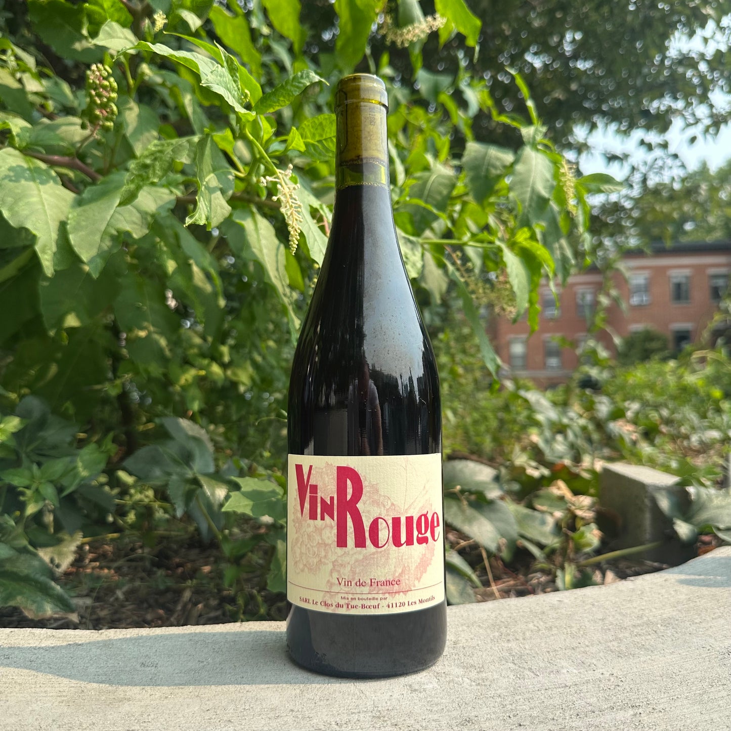 Clos du Tue-Boeuf, "Vin Rouge" 2025