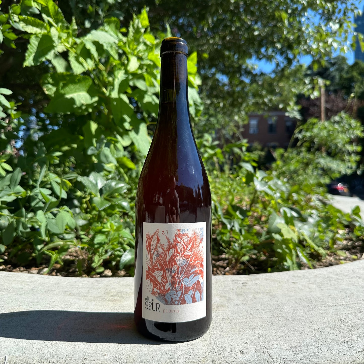 Domaine de La Petite Soeur, "Plasma" 2024