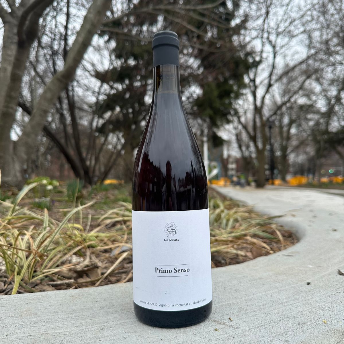 Clos des Grillons, "Primo Senso" 2024