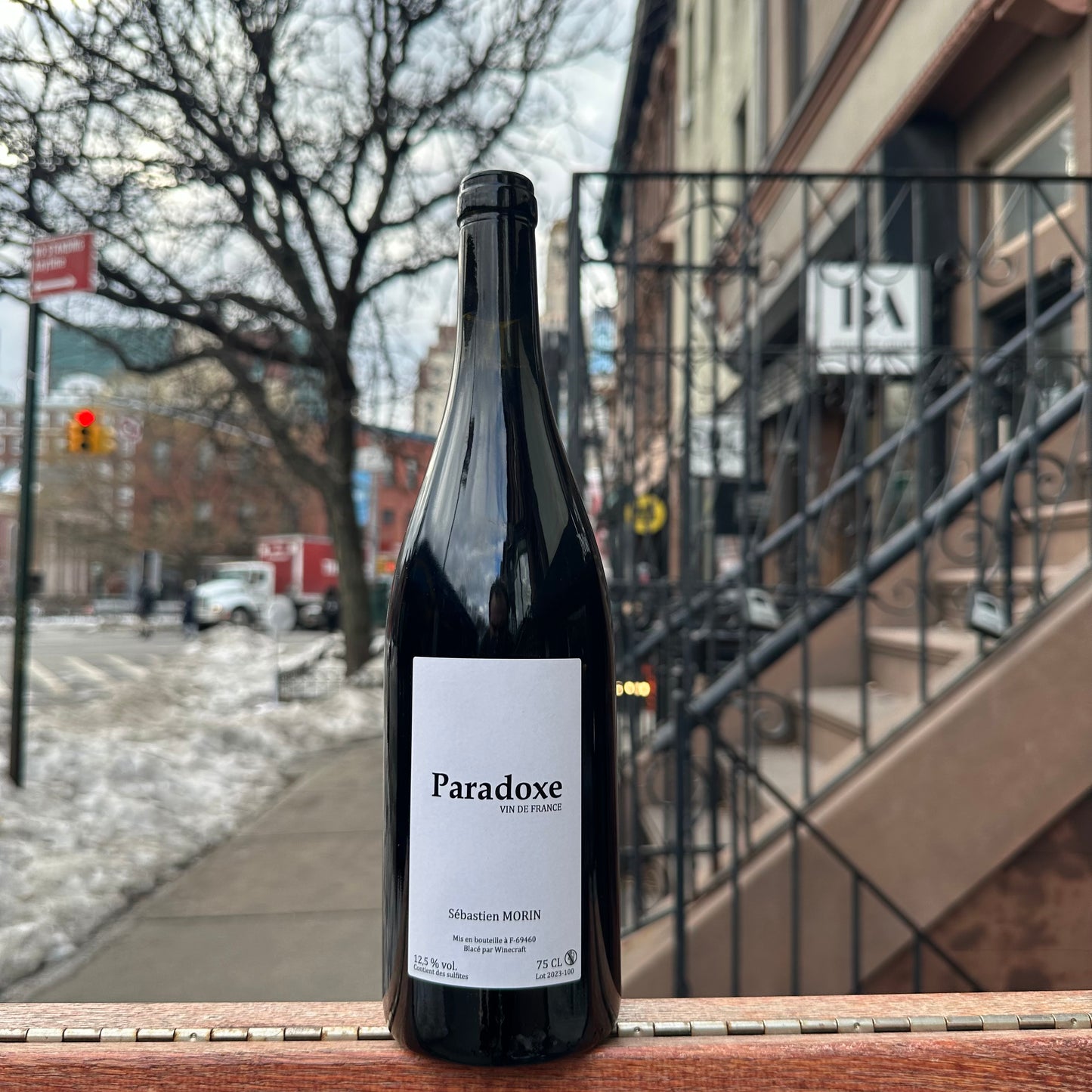 Sébastien Morin, "Paradoxe" 2023