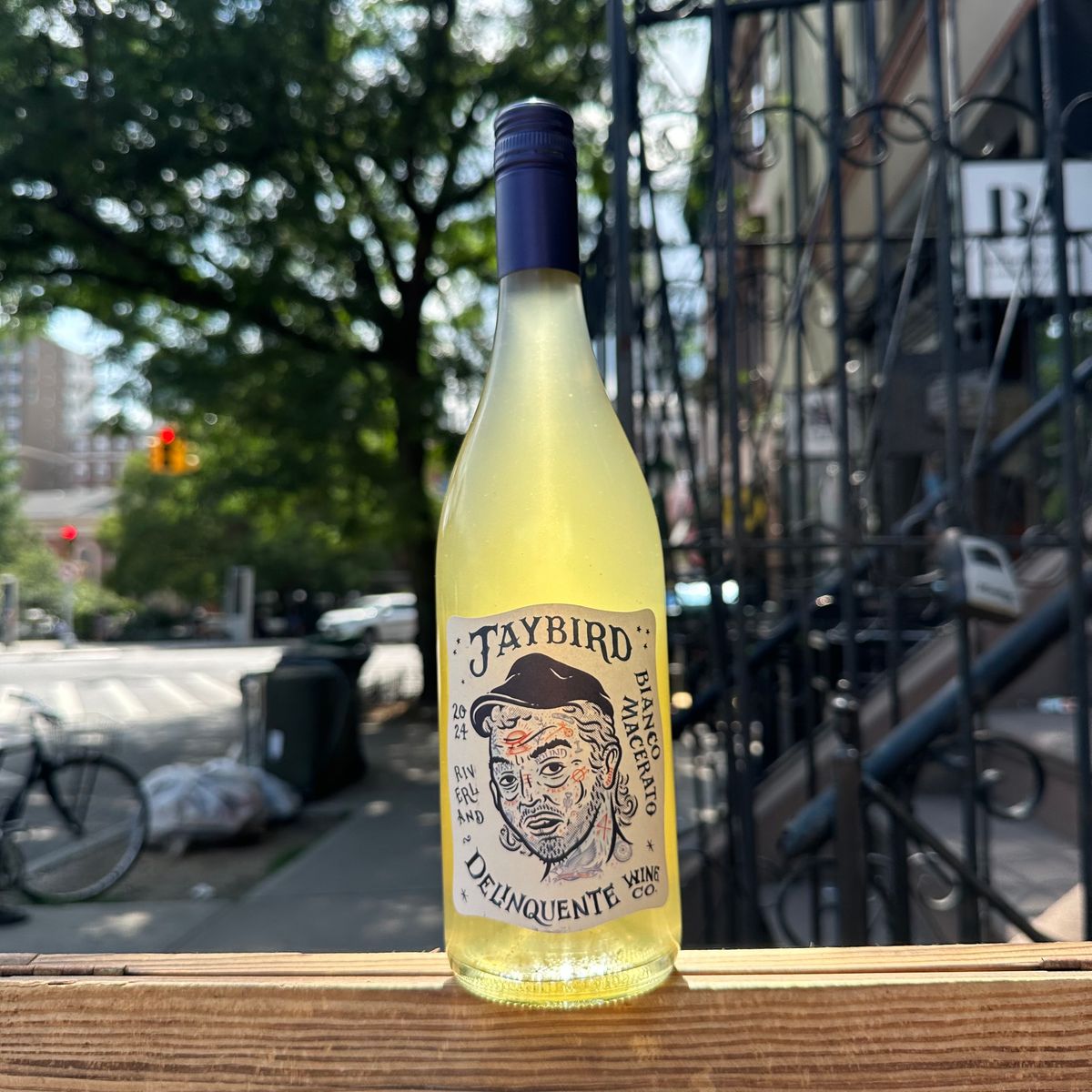 Delinquente, "Jaybird Macerato" 2024