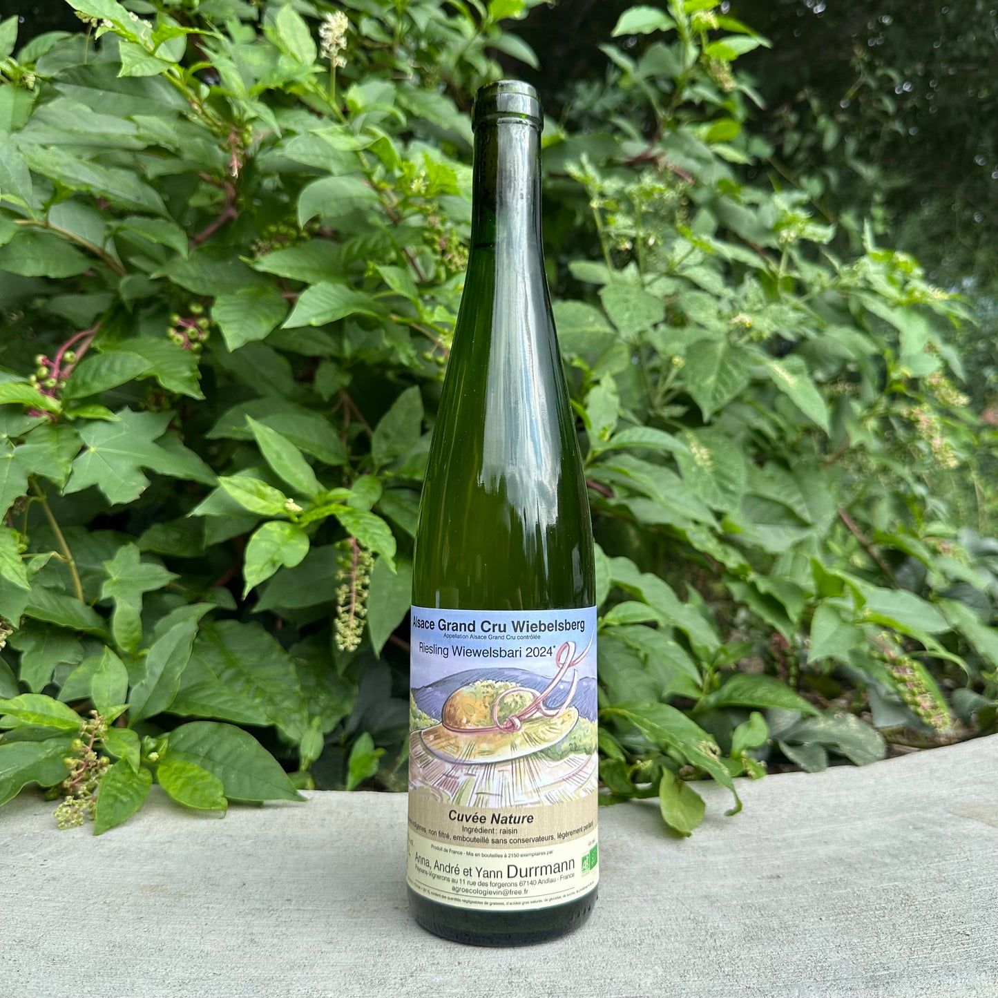 Durrmann, “Riesling Grand Cru Wiebelsberg” 2024