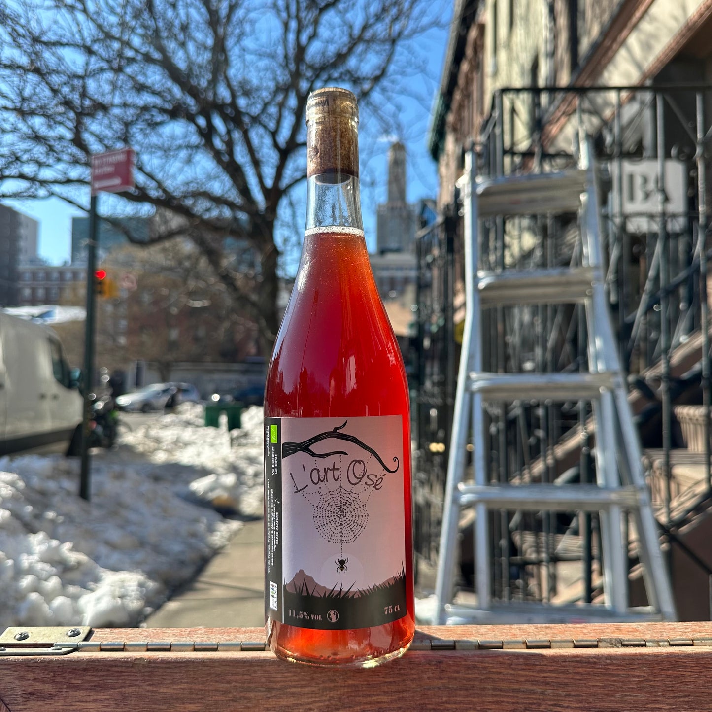 Domaine Thuronis, "L'Art Osé" 2023