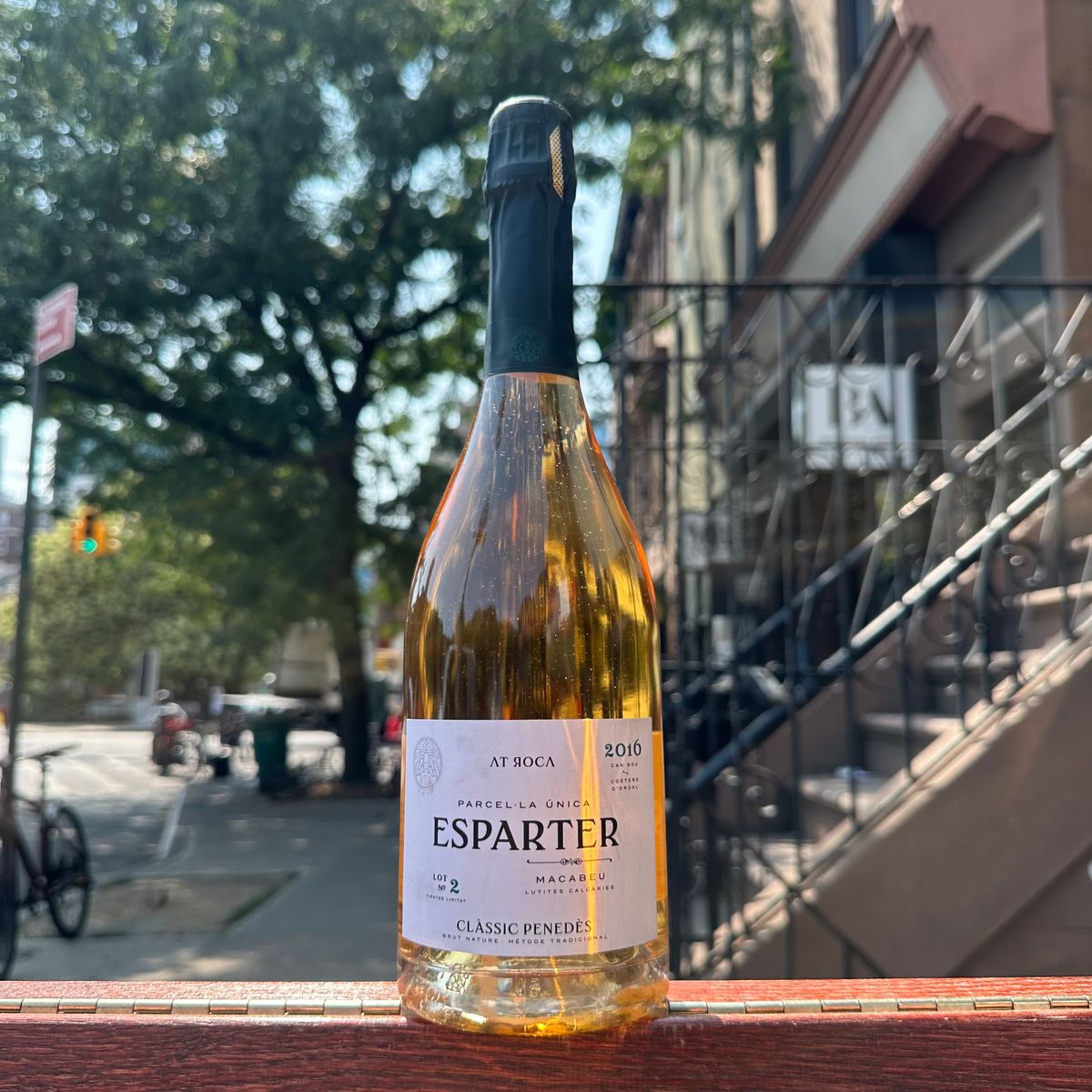 AT Roca, "Esparter" 2016