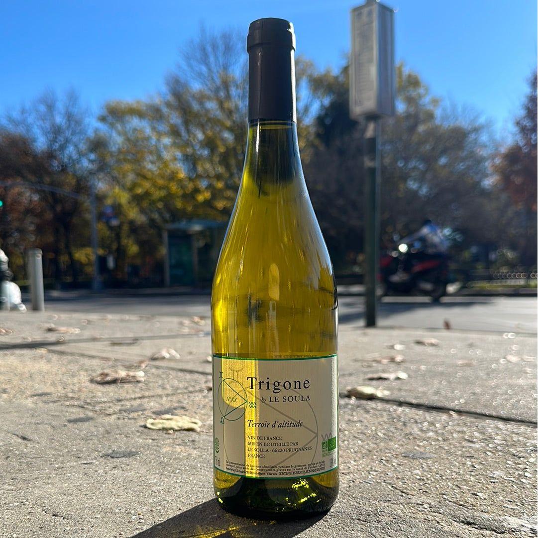 Le Soula, "Trigone Blanc" 2020