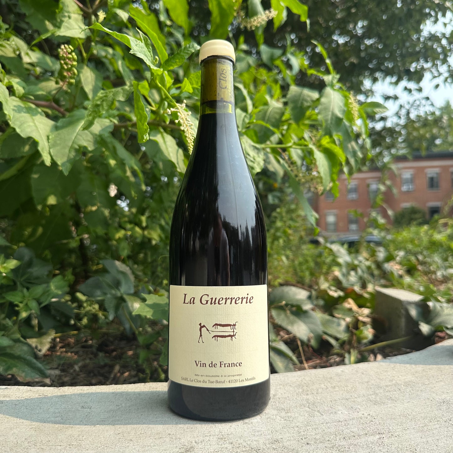 Clos du Tue-Boeuf, "La Guerrerie" 2023