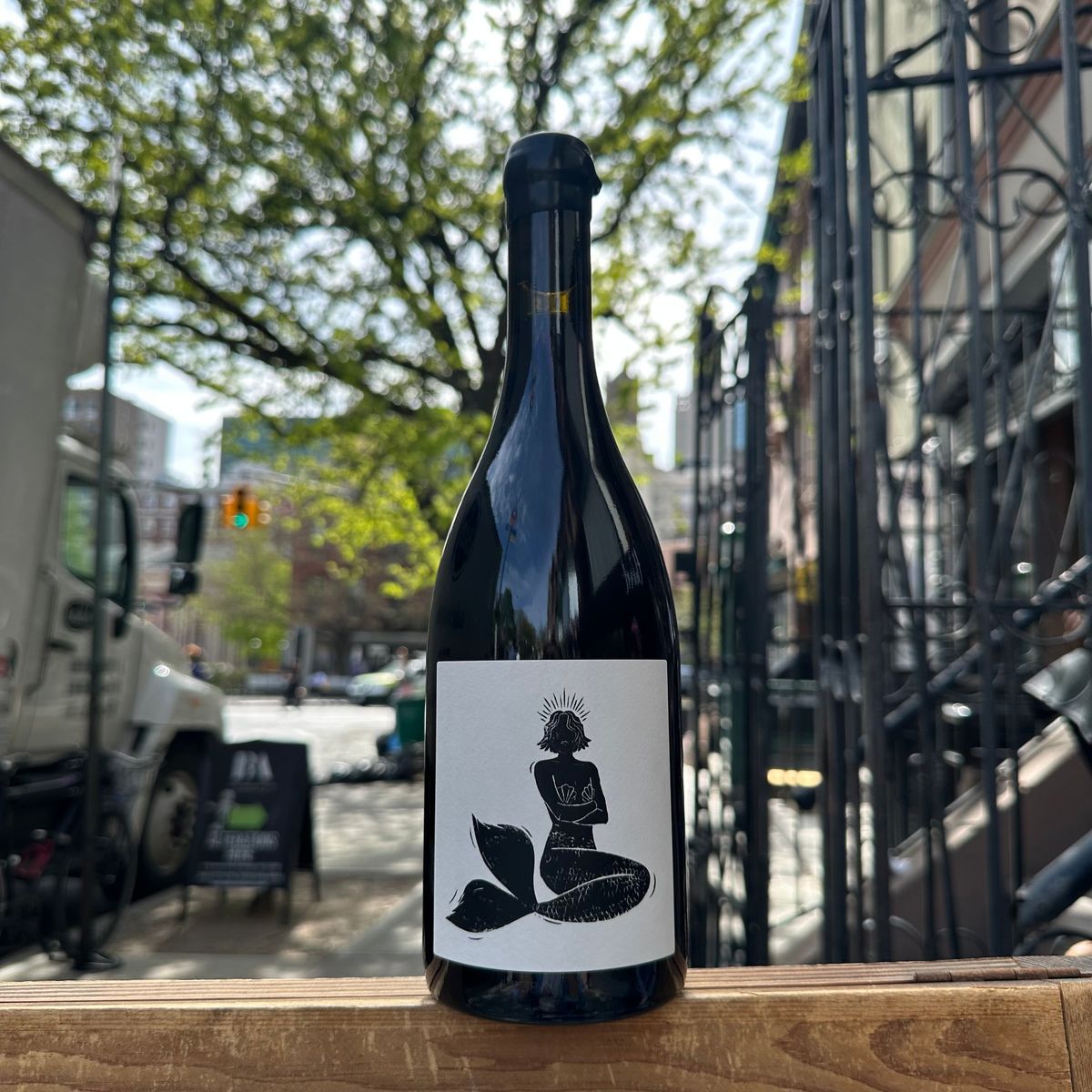 Vin Noé, "Gueule d'Amour" 2023