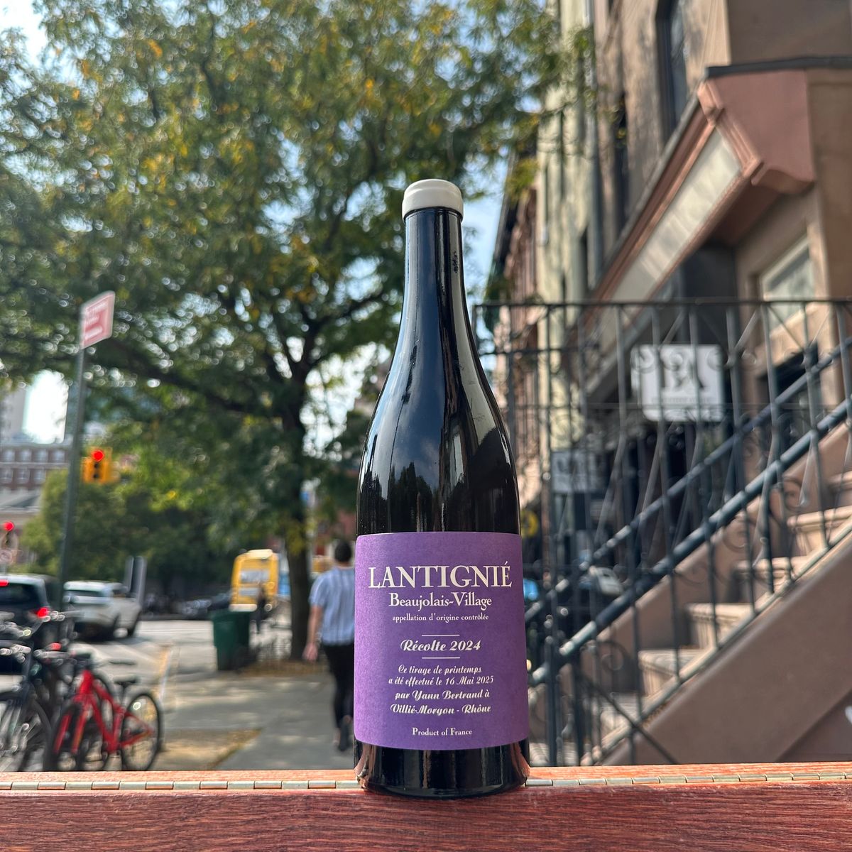 Yann Bertrand, “Beaujolais Lantignié” 2024