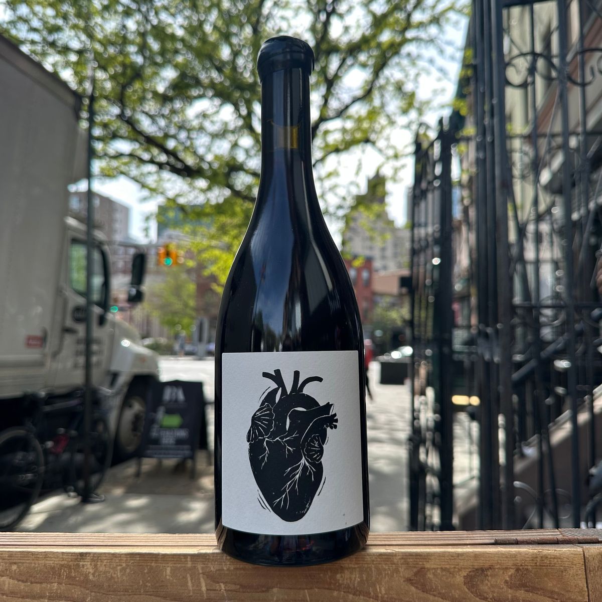 Vin Noé, "Amour Vache" 2023