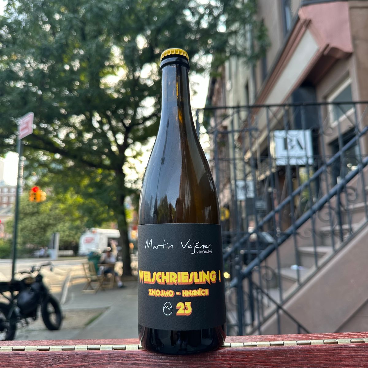 Martin Vajčner, "Welschriesling I" 2023