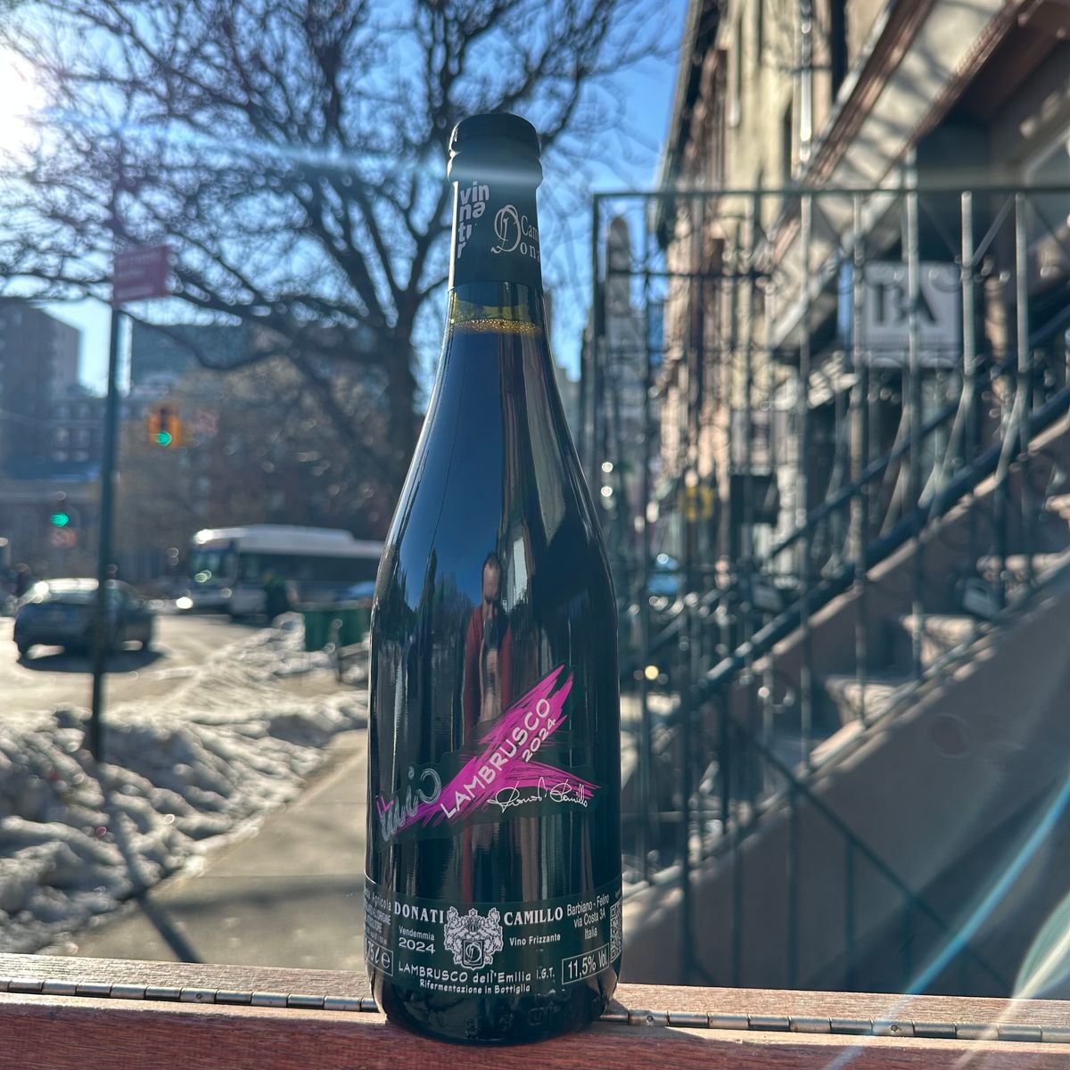 Camillo Donati, "Lambrusco" 2024