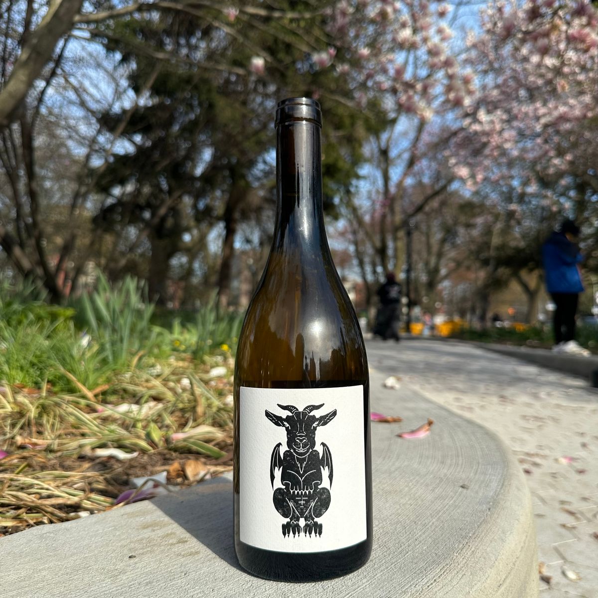 Vin Noé, “Totem” 2024