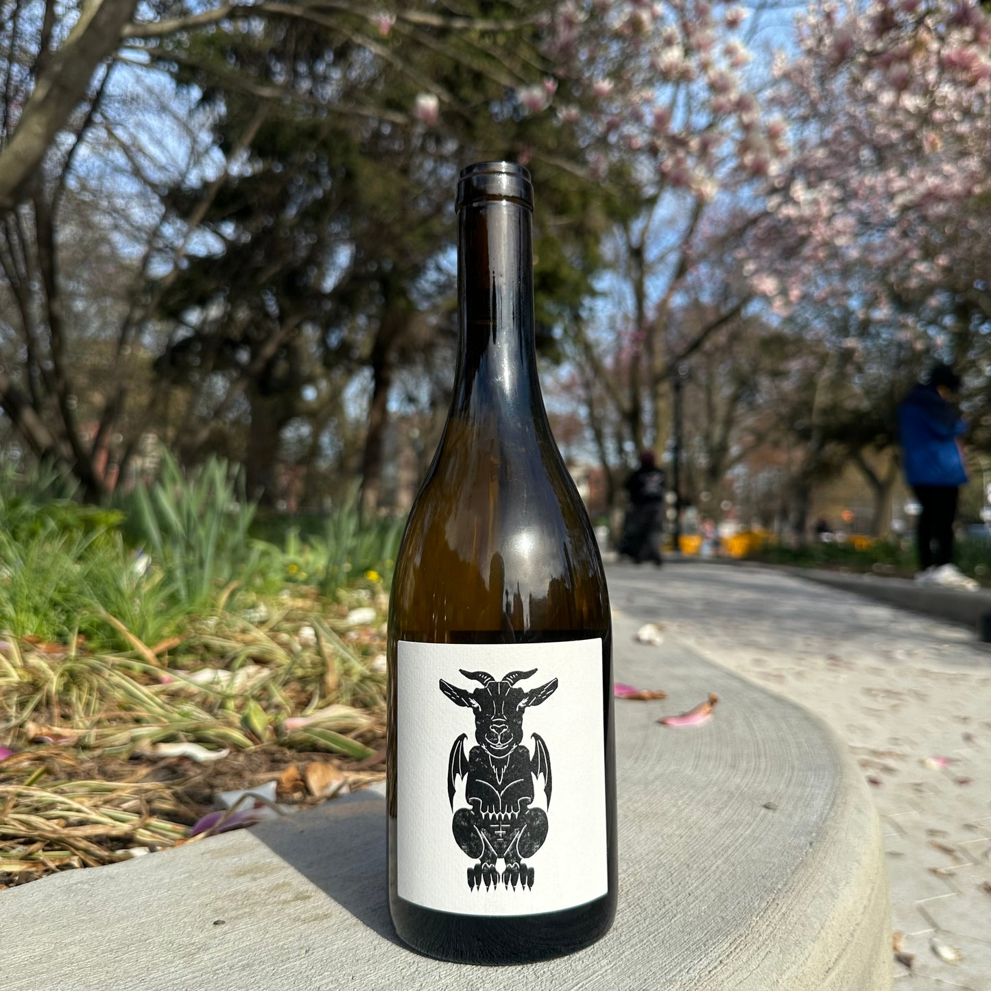 Vin Noé, “Totem” 2024