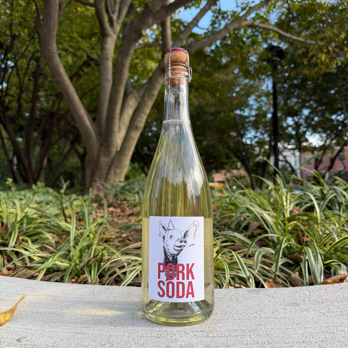 Julien Pineau, "Pork Soda" 2024