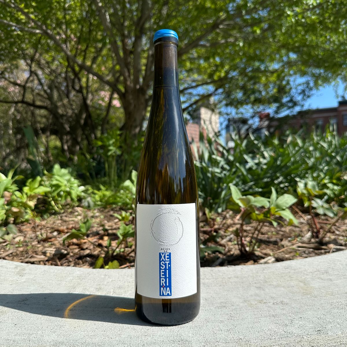 Acios da Xesteiriña, "Albariño" 2023