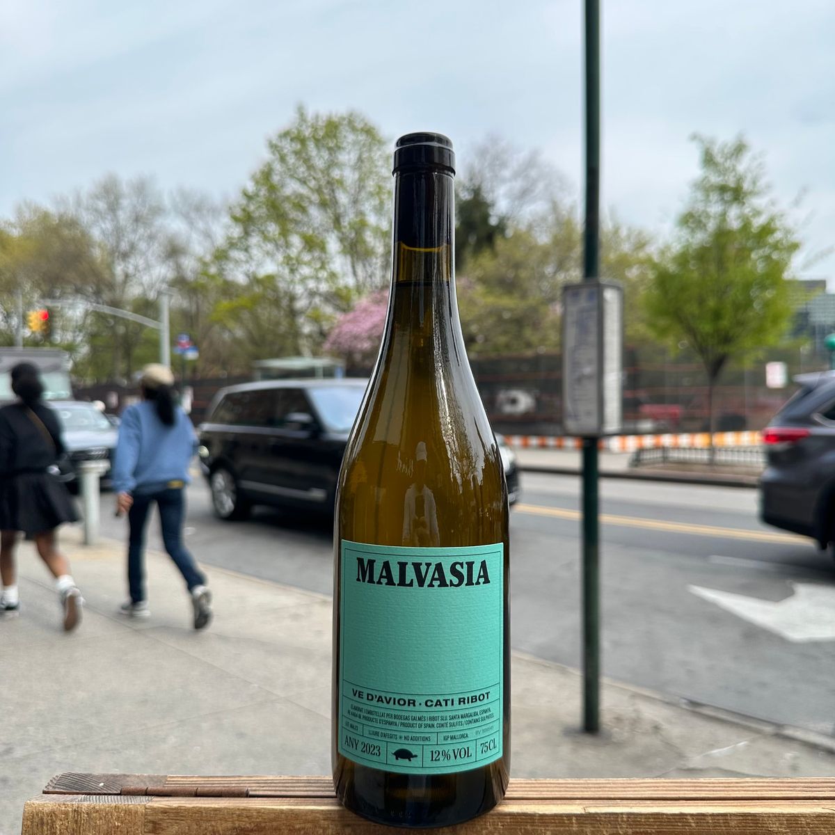 Cati Ribot, "Malvasia" 2023