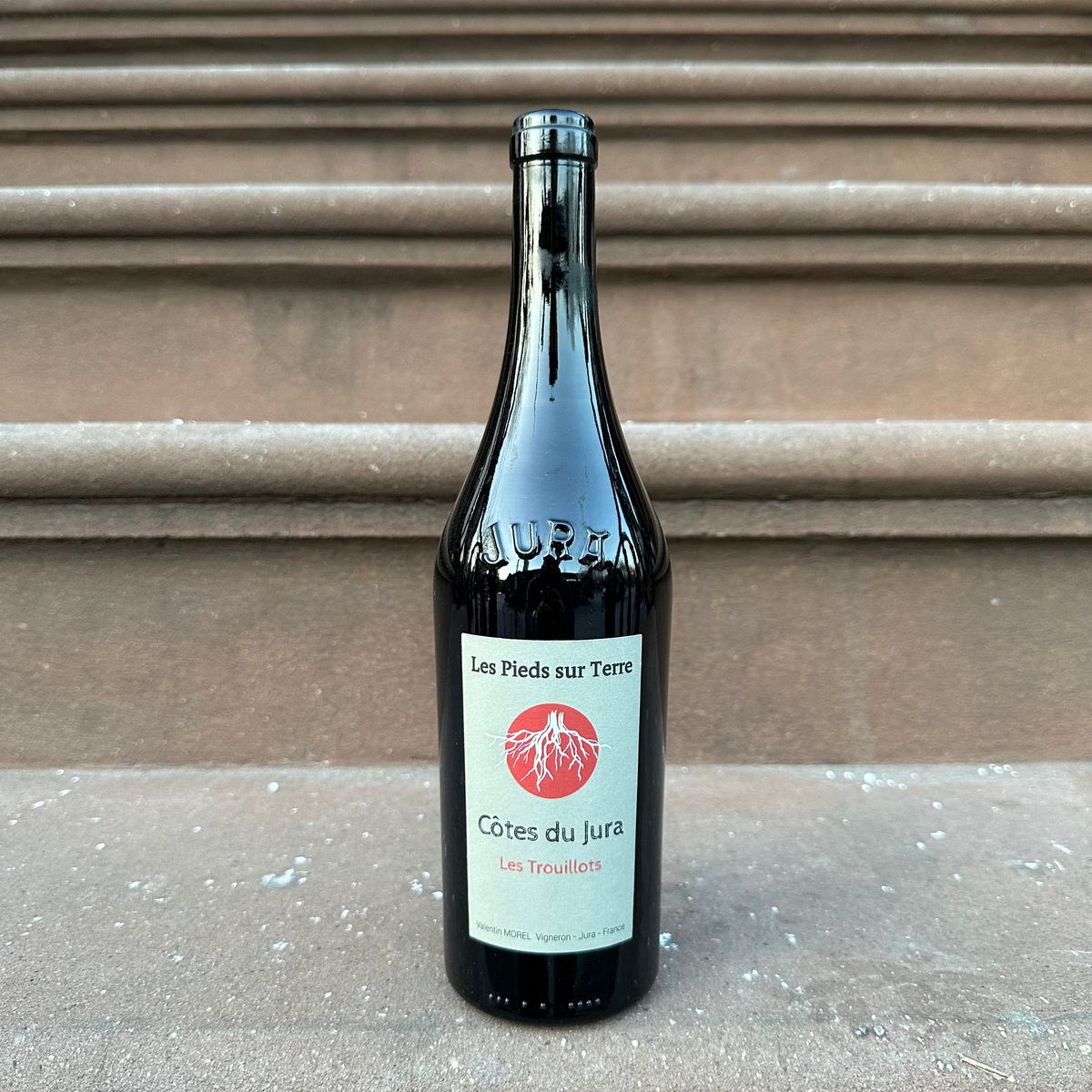 Valentin Morel, "Côtes du Jura Rouge" 2021