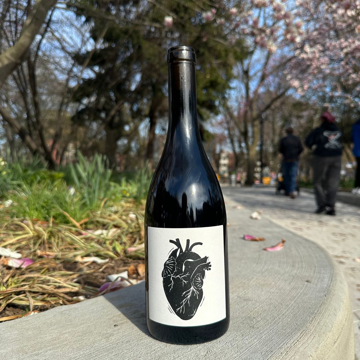 Vin Noé, “Amour Vache” 2024