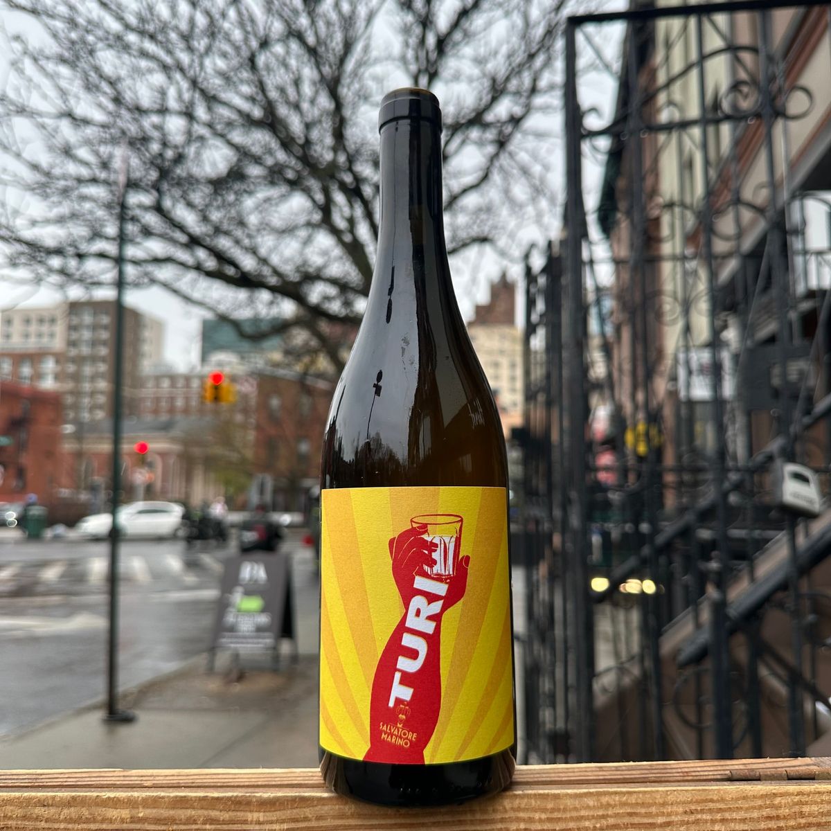 Turi Marino, "Turi" 2023