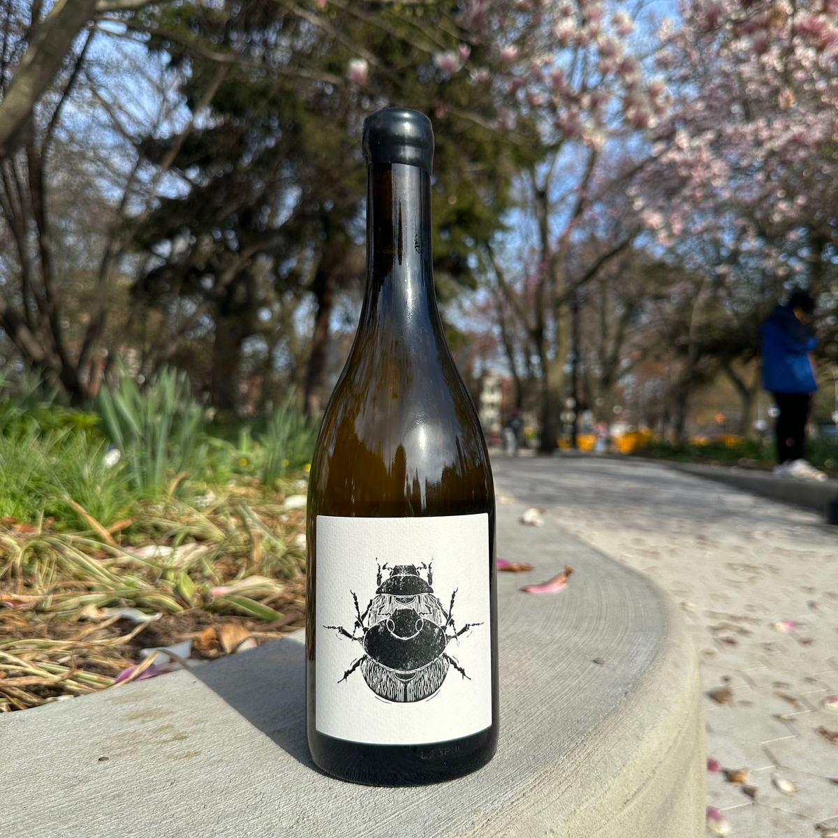 Vin Noé, “Puligny-Montrachet Le Trezin, ‘Superposition’” 2023