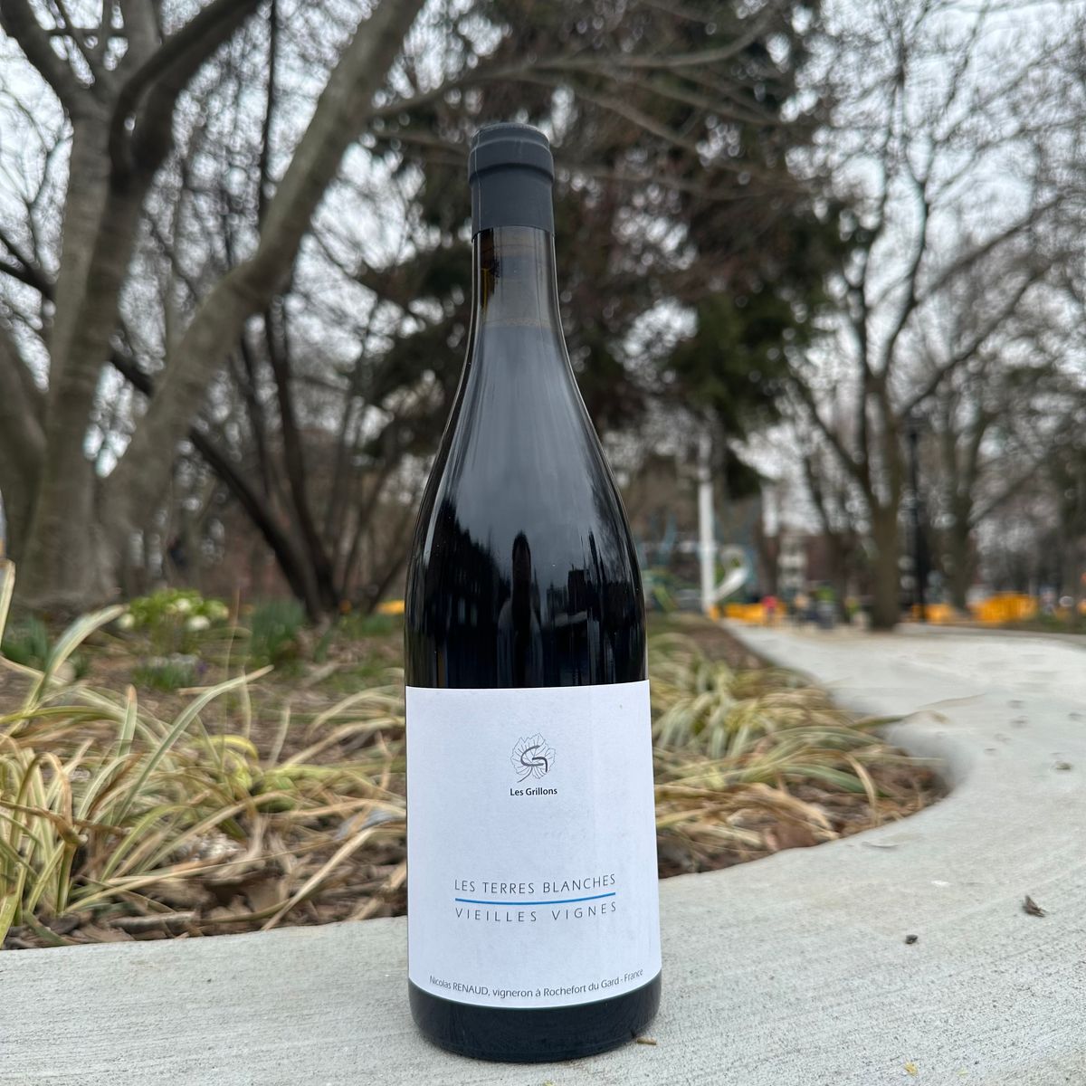 Clos des Grillons, "Les Terres Blanches Vieilles Vignes" 2024