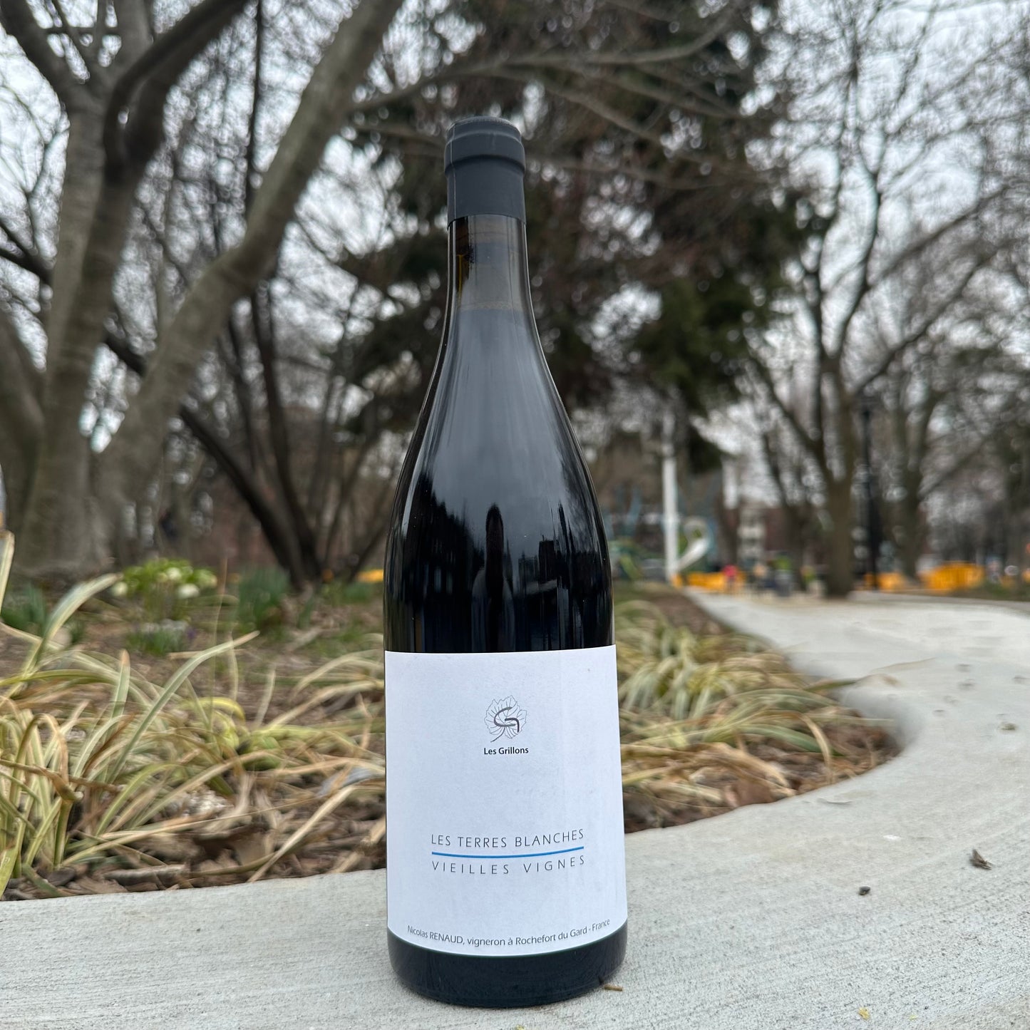 Clos des Grillons, "Les Terres Blanches Vieilles Vignes" 2024