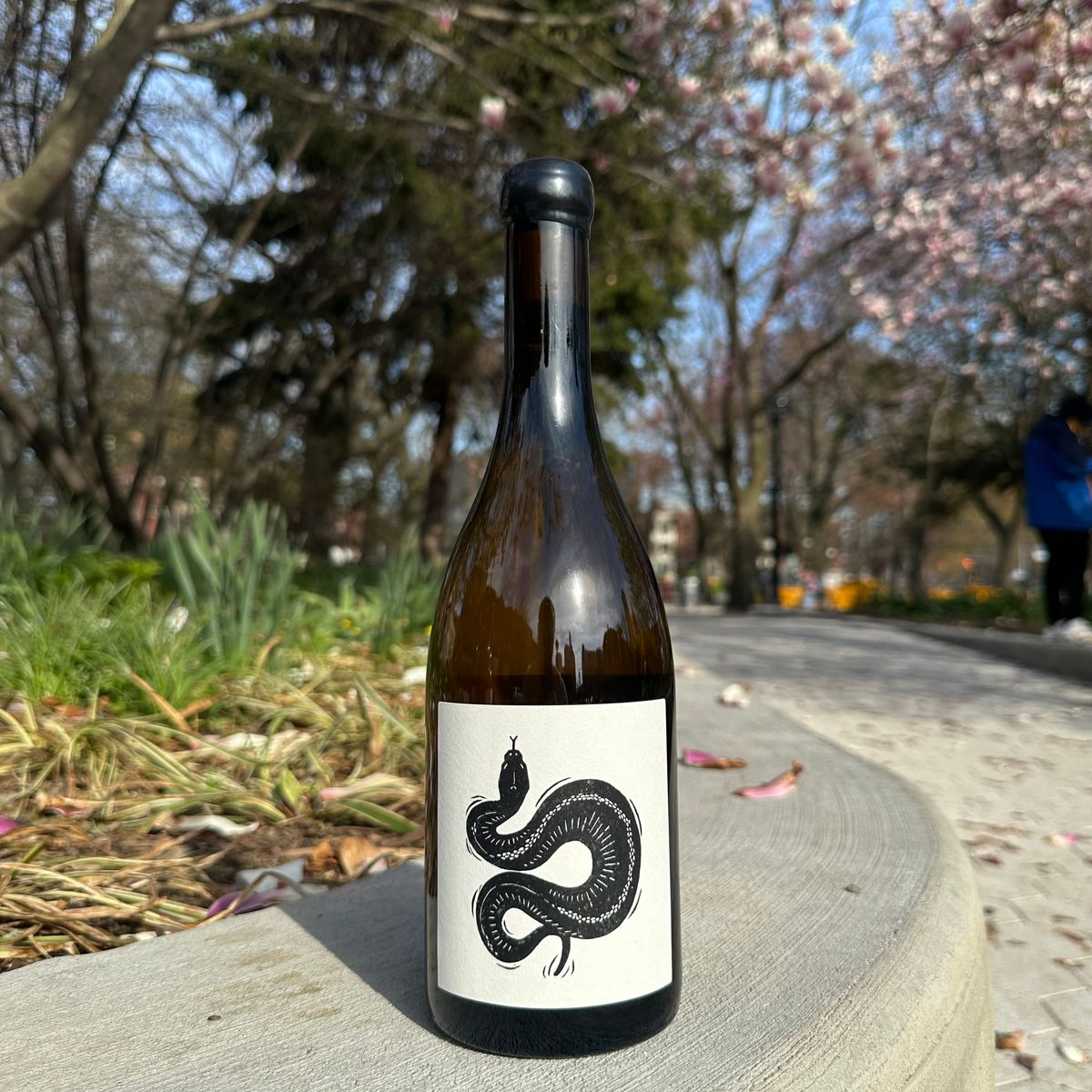 Vin Noé, “Saint-Aubin 1er Cru La Combe, ‘Shadows’” 2024