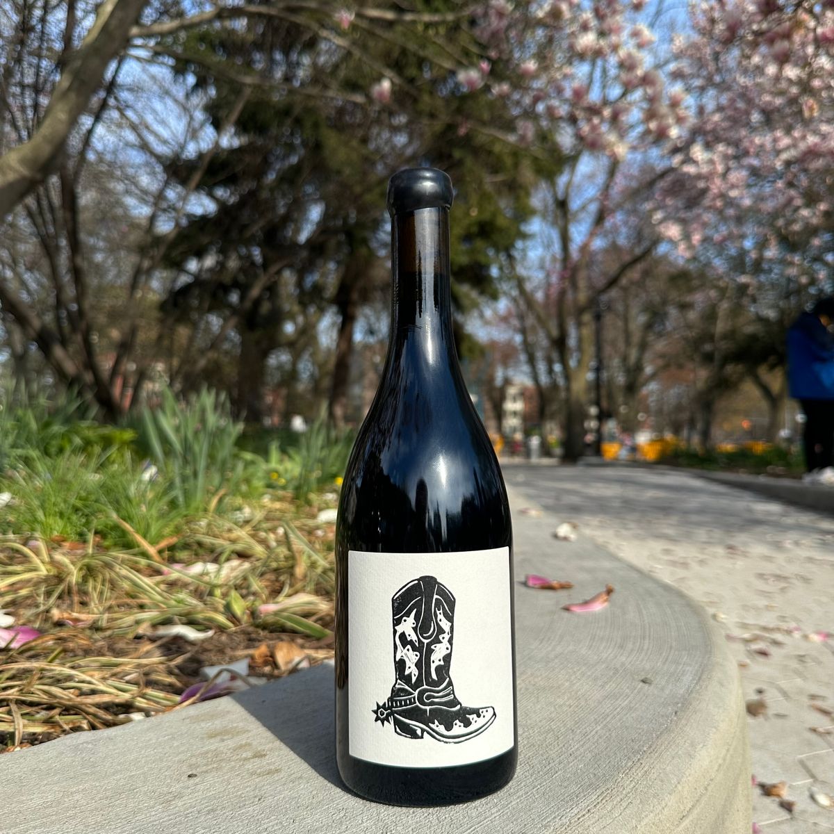 Vin Noé, “Mercurey Rouge, ‘Lucky Star’” 2024