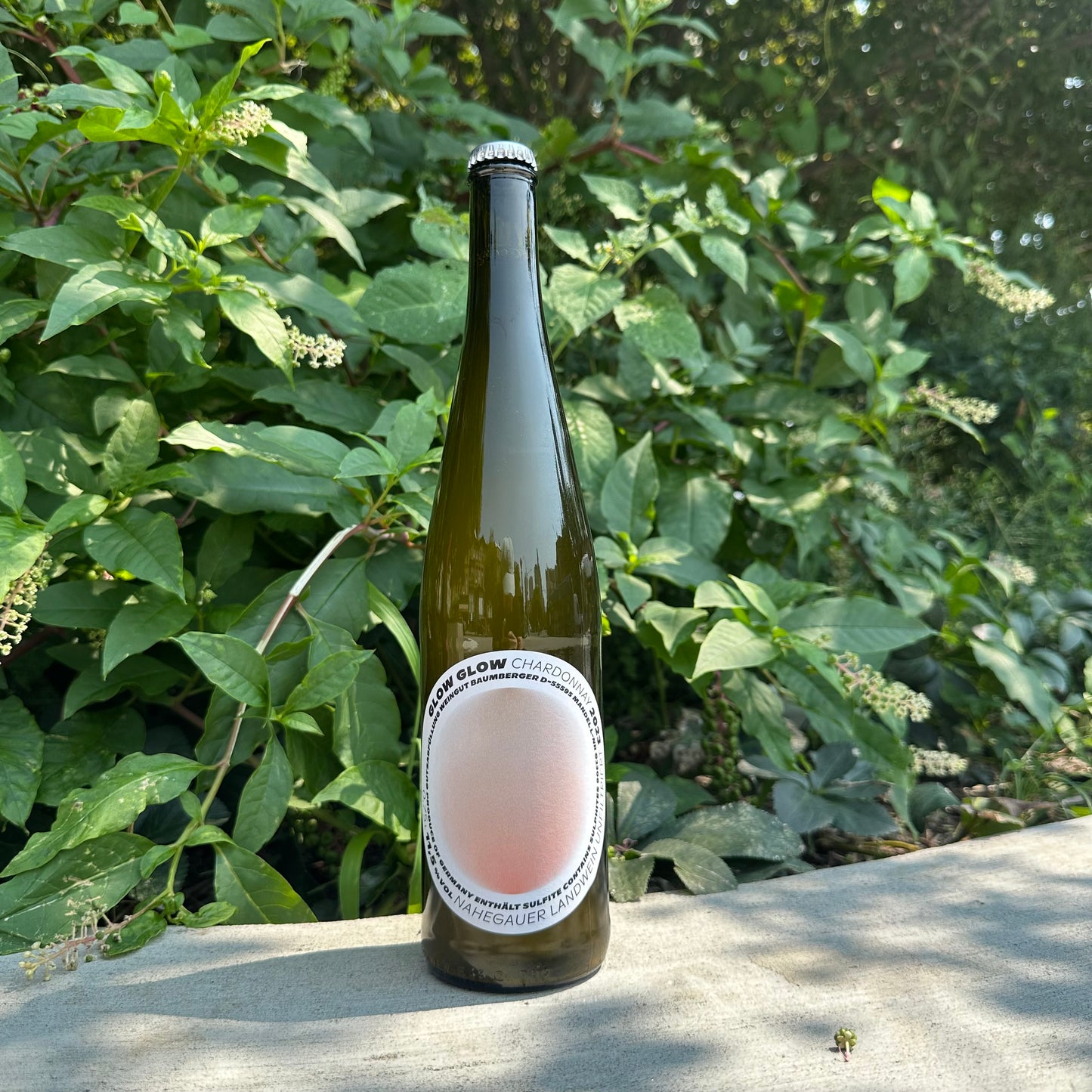 Glow Glow, "Chardonnay" 2023