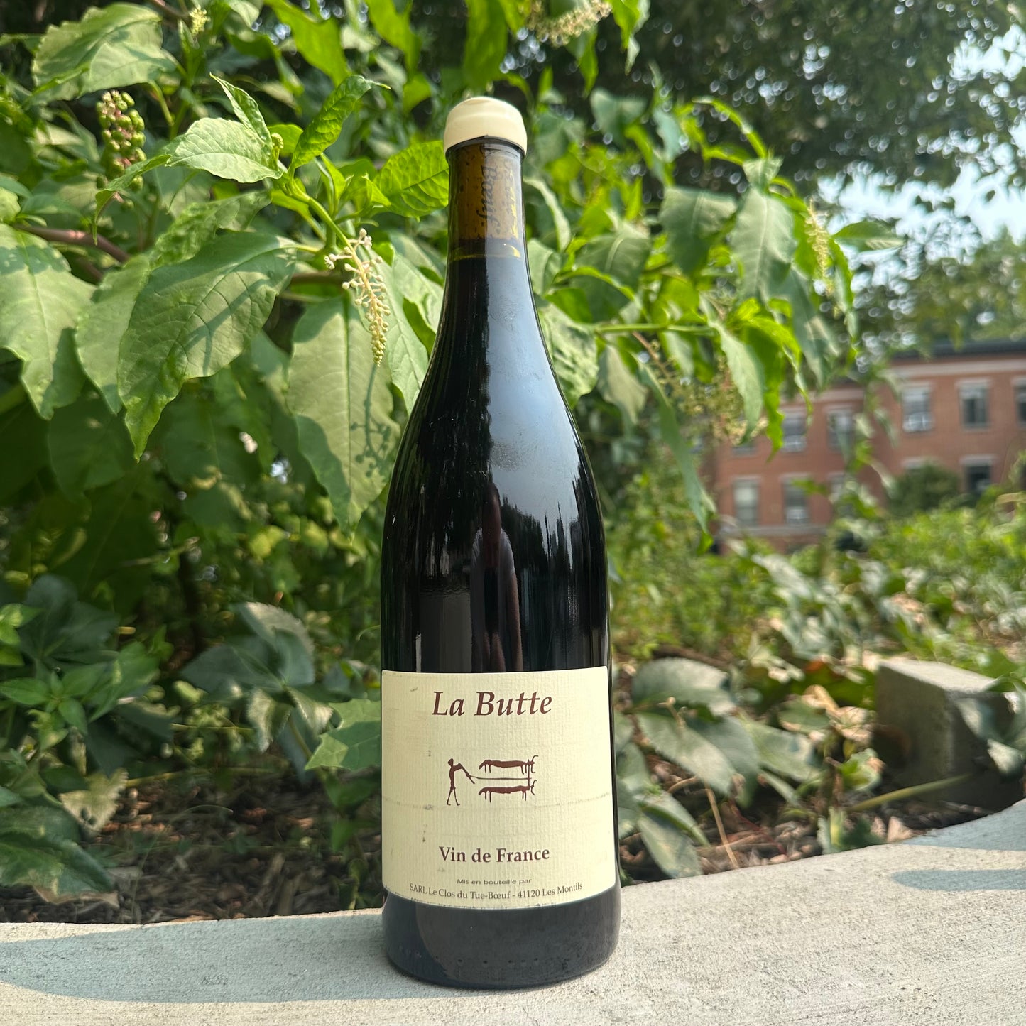 Clos du Tue-Boeuf, "La Butte" 2025