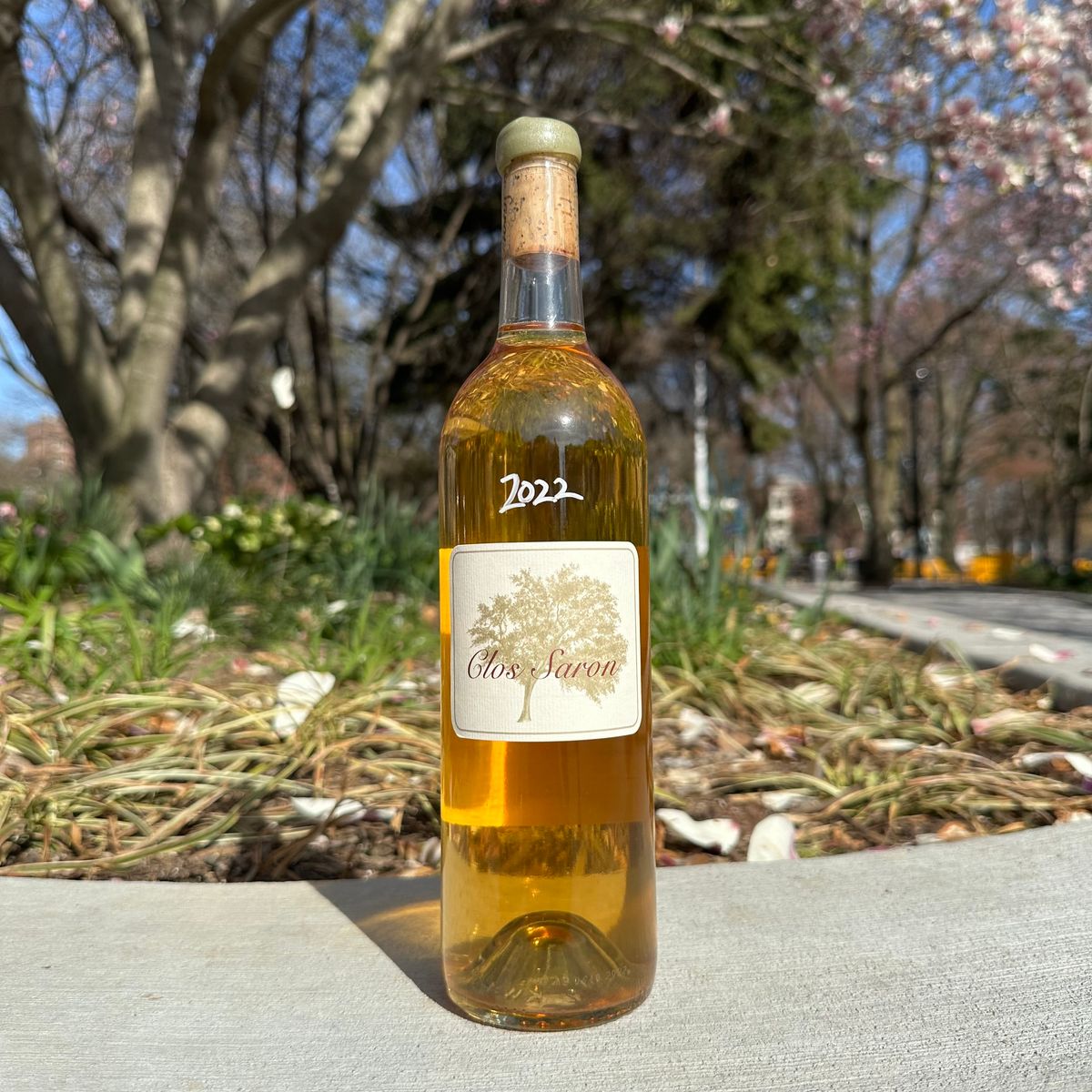 Clos Saron, “Carte Blanche” 2022