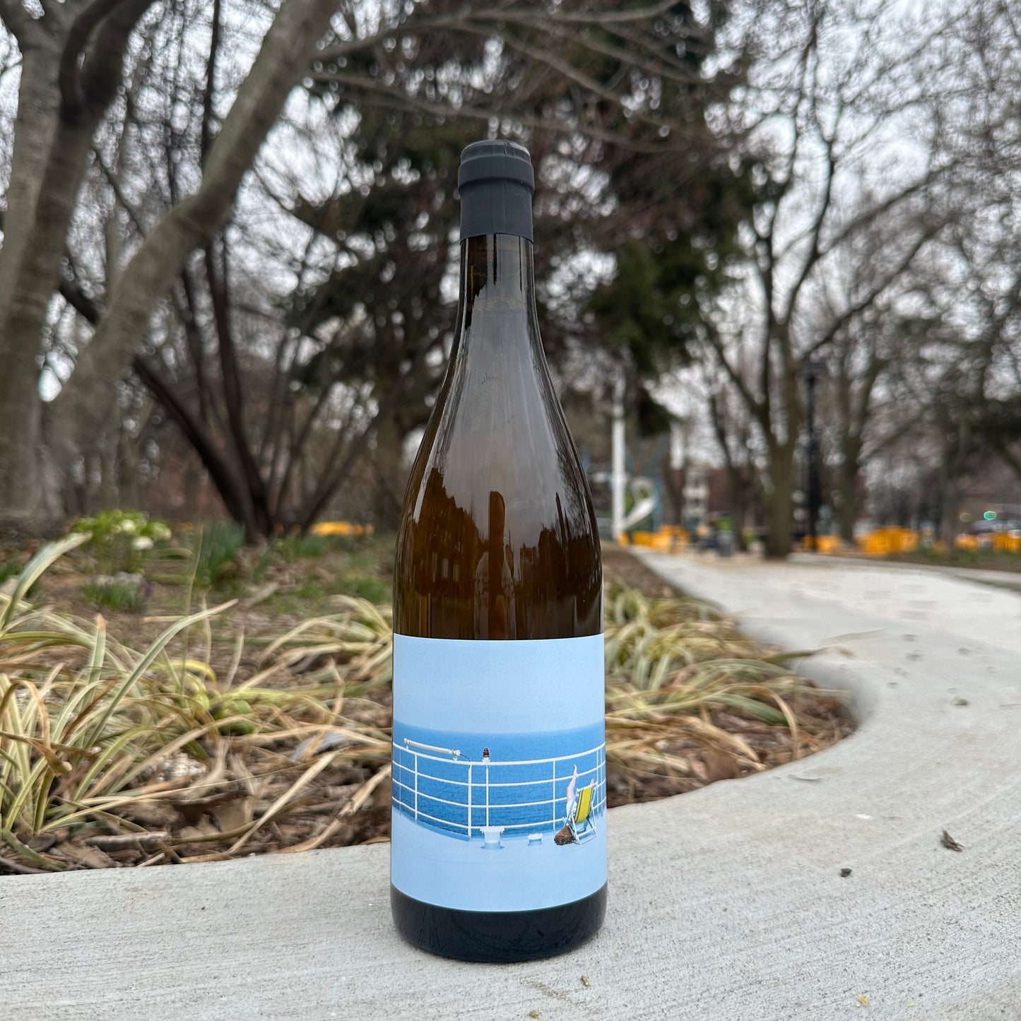 Clos des Grillons, "Soleil 28" 2024