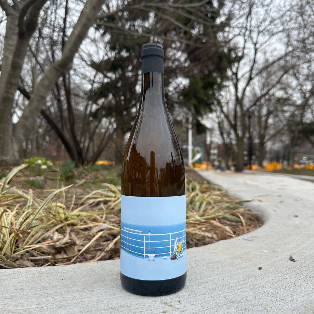 Clos des Grillons, "Soleil 28" 2024