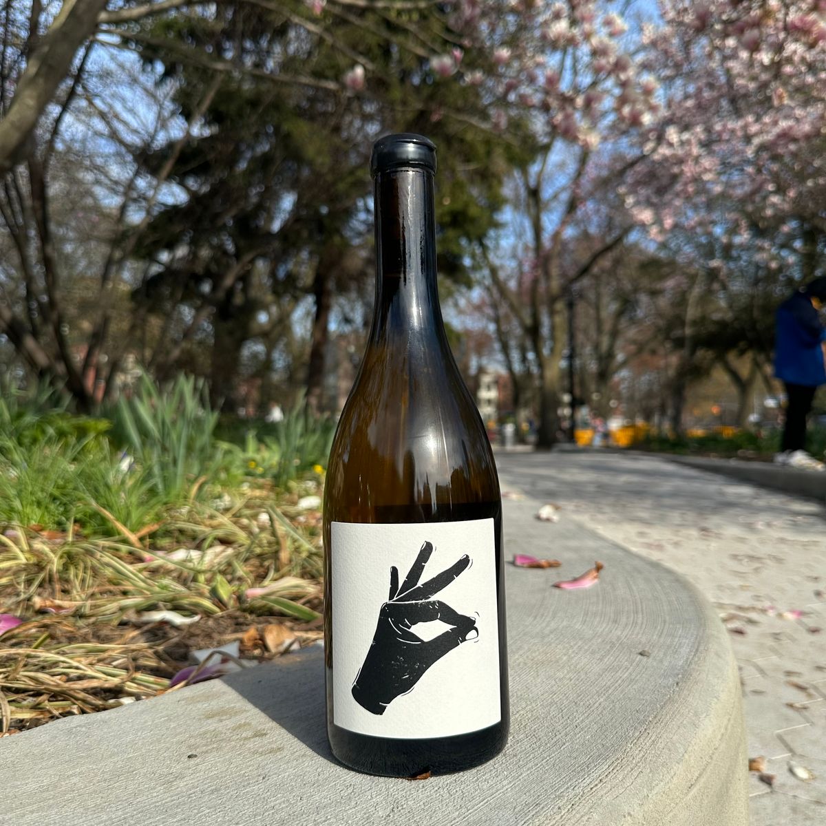Vin Noé, “Bourgogne Blanc, ‘Pattaya” 2024