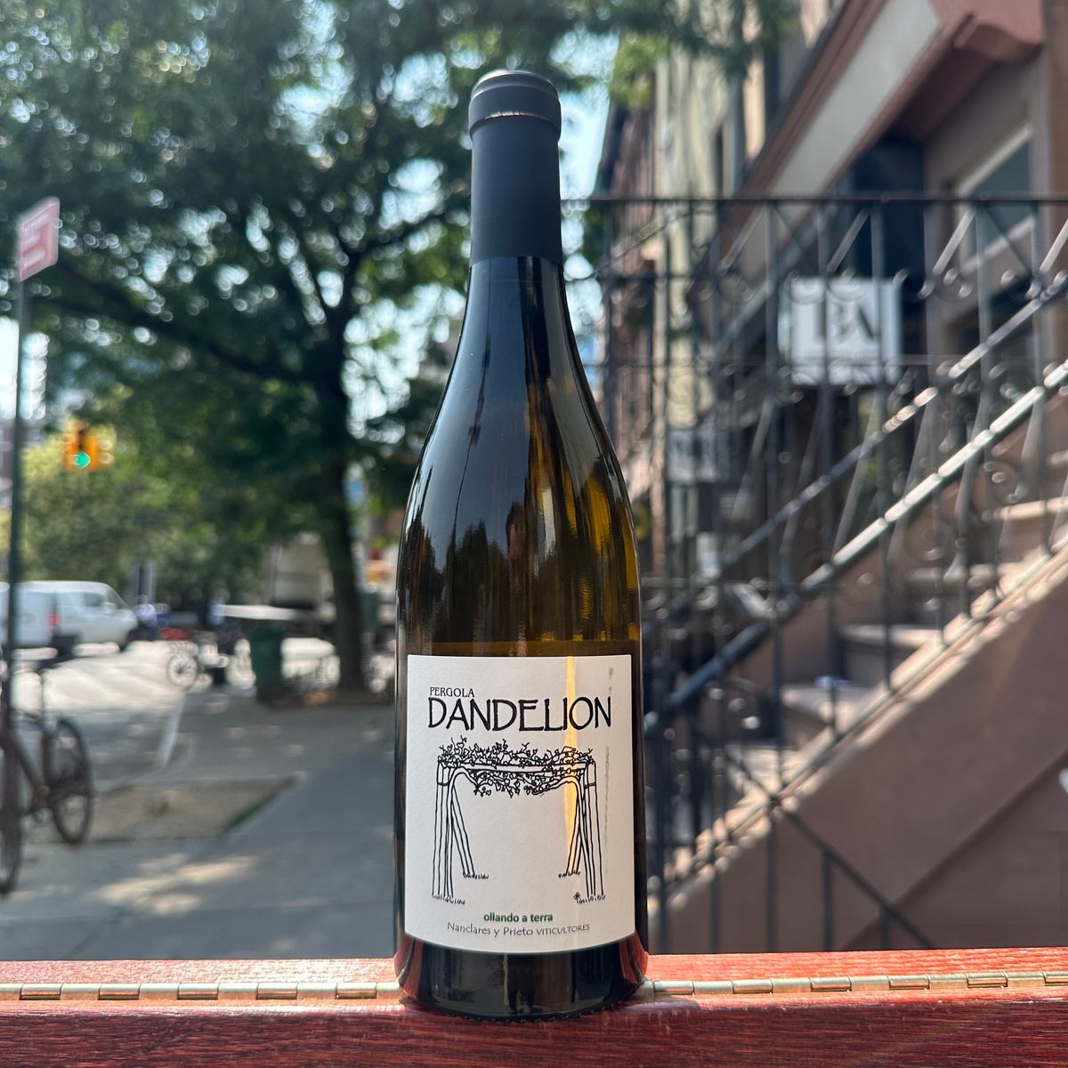Nanclares y Prieto, "Dandelion" 2024