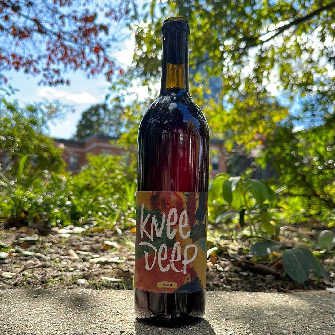 Accordion Wines, "Knee Deep" 2021