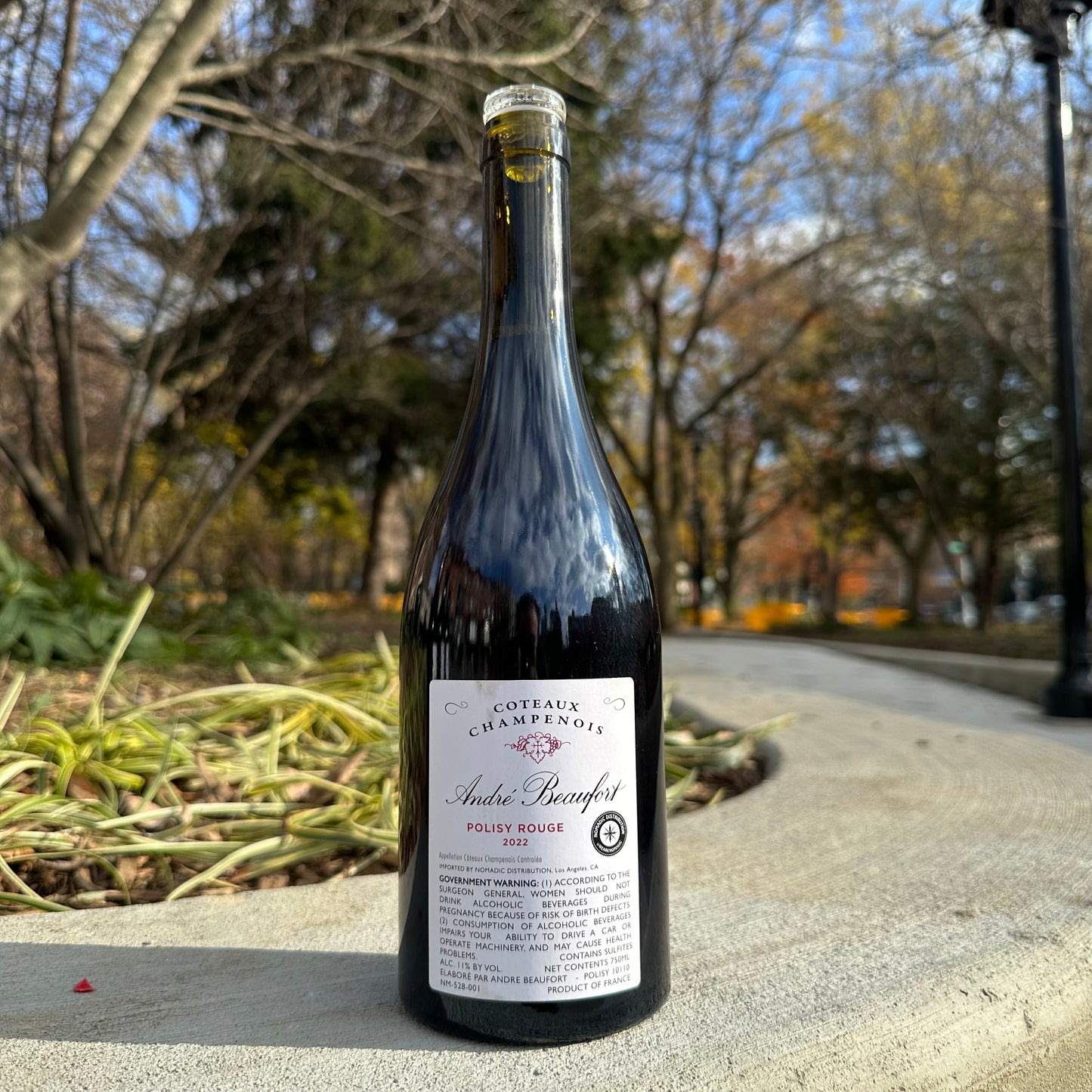 Champagne André Beaufort, "Côteaux Champenois Rouge, 'Polisy Rouge'" 2022