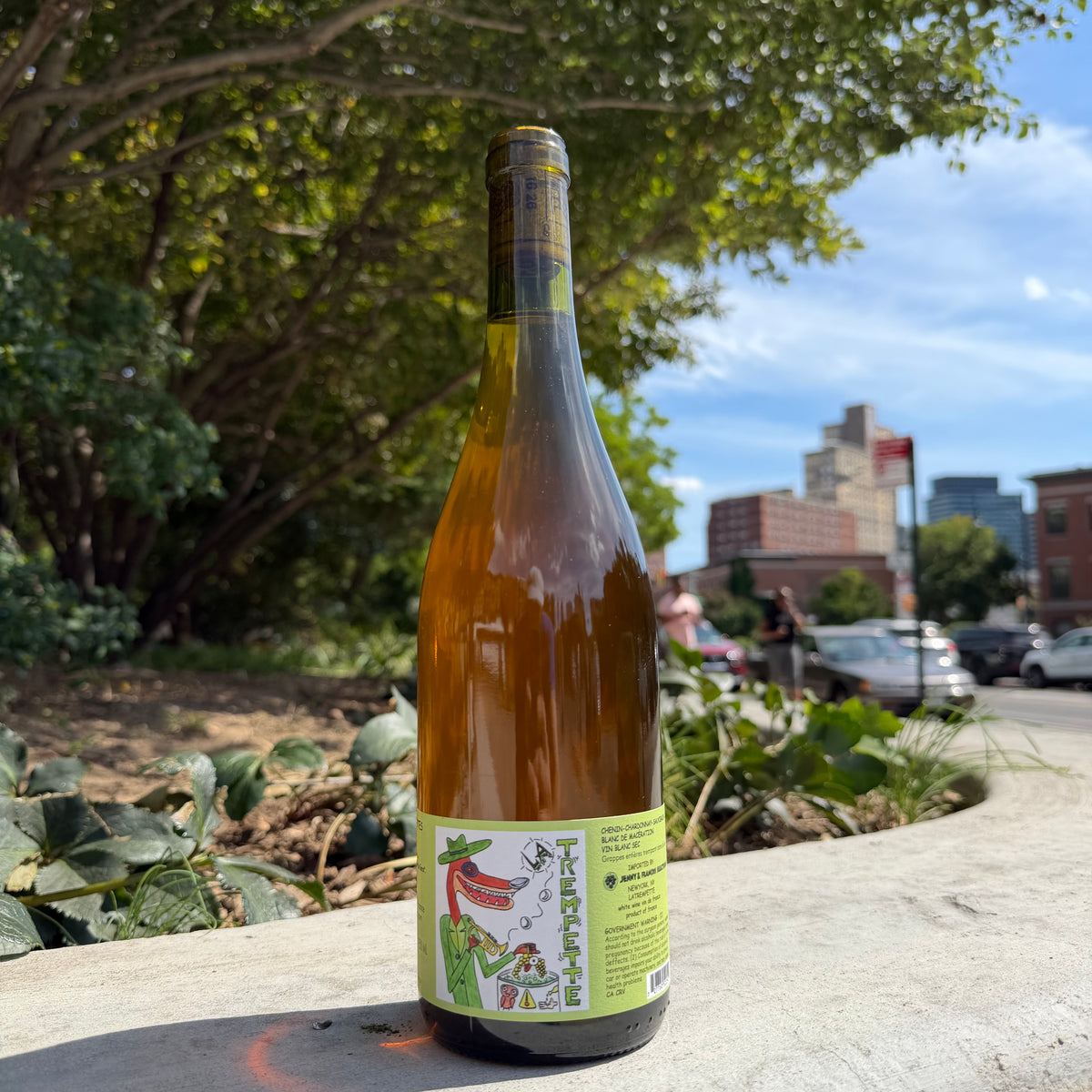 Domaine des Sablonnettes, "Trempette" 2024