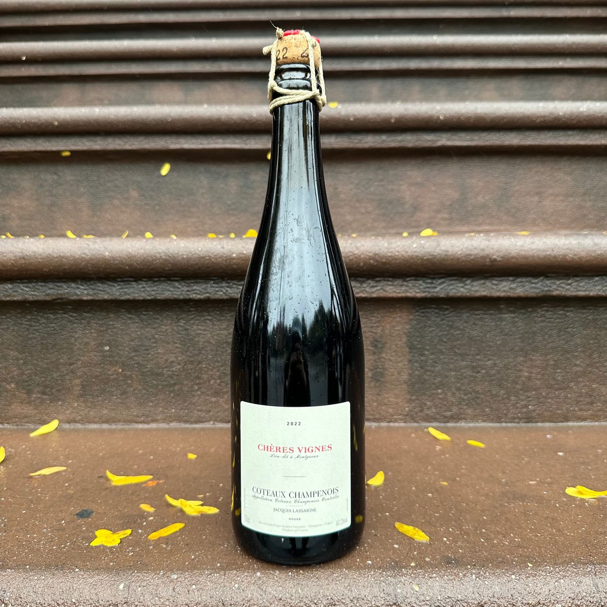 Jacques Lassaigne, “‘Chères Vignes,’ Côteaux Champenois Rouge” 2022